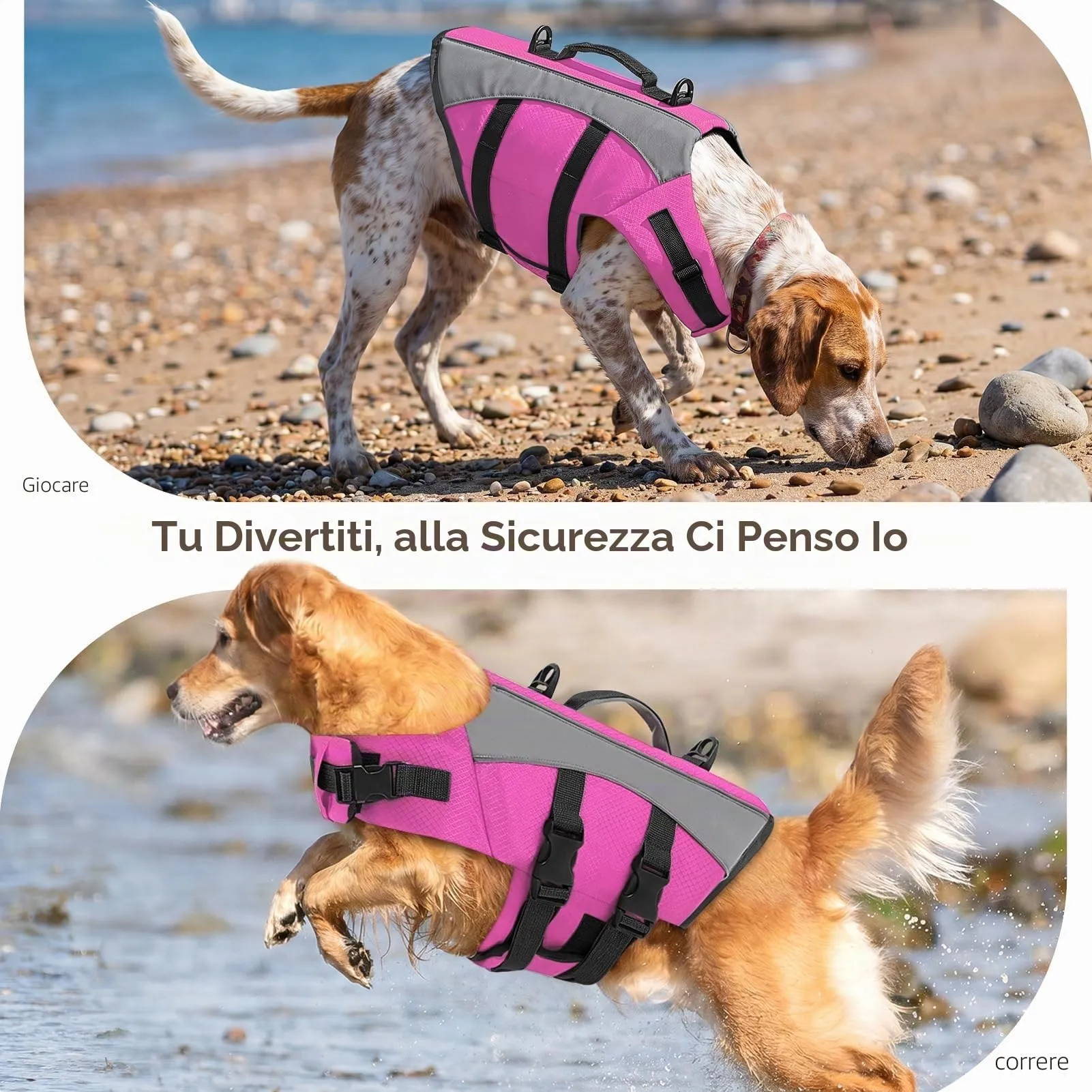 CITÉTOILE Giubbotto Salvagente per Cani Riflettente, Rosa, XS - immagine 7