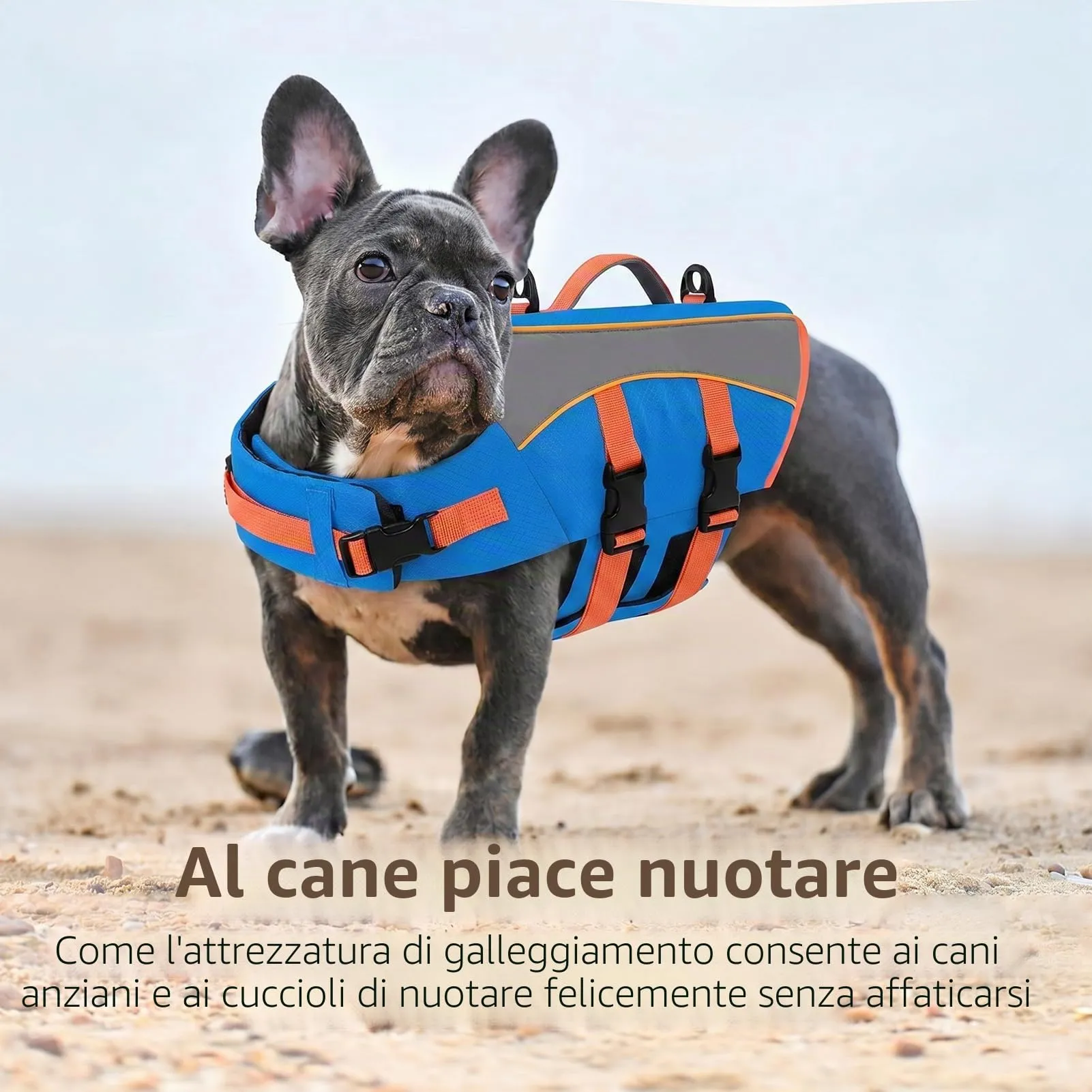 CITÉTOILE Giubbotto Salvagente per Cani Riflettente, Blu, S - immagine 5