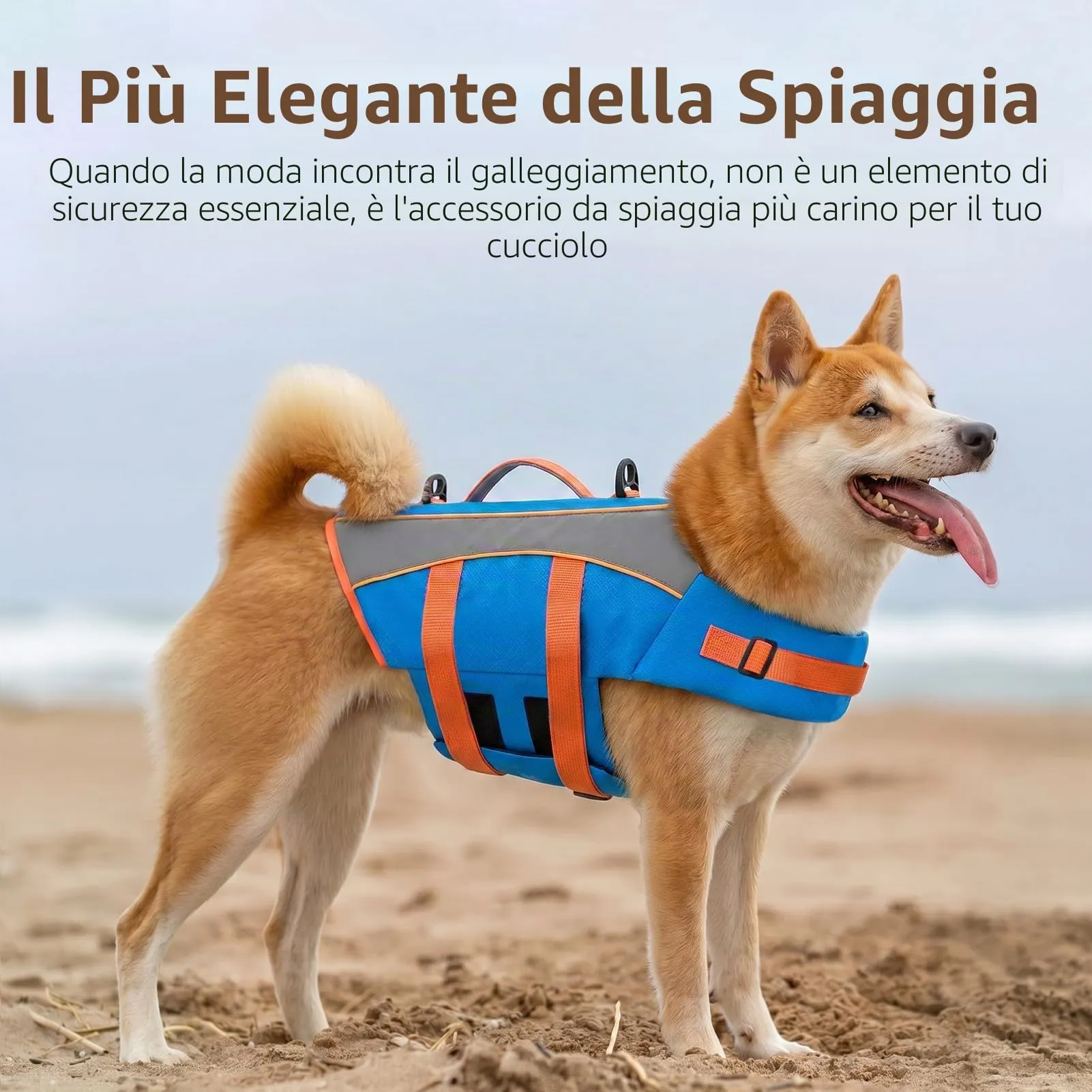 CITÉTOILE Giubbotto Salvagente per Cani Riflettente, Blu, S - immagine 6