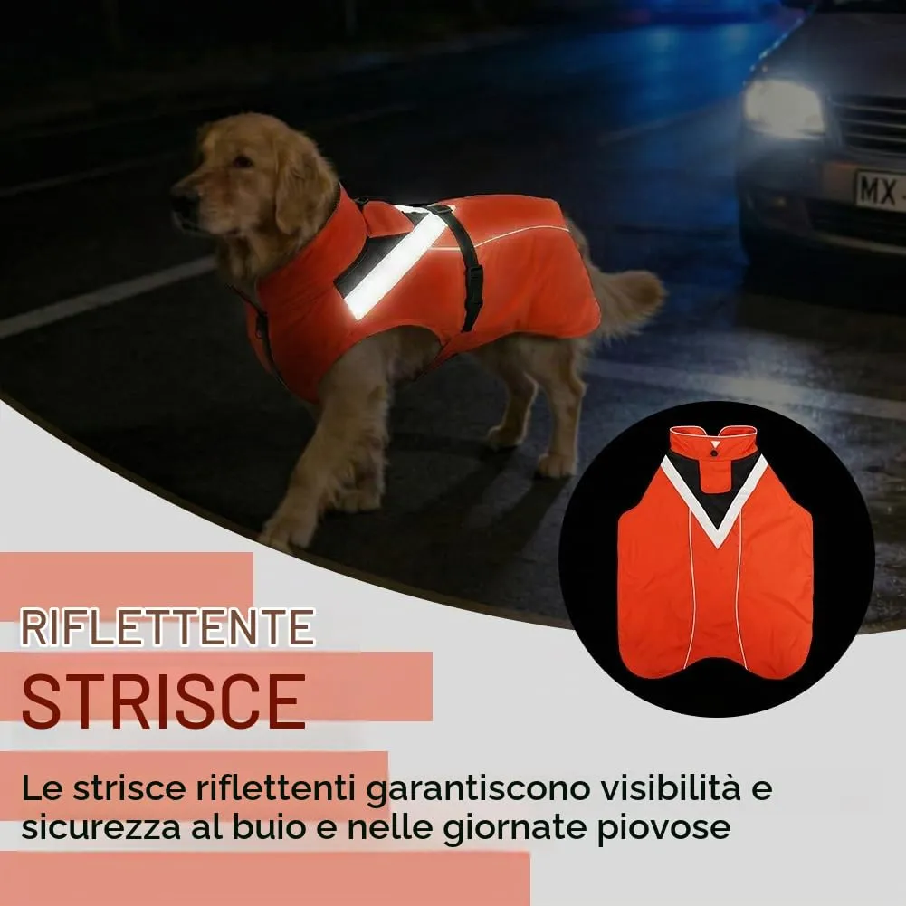 AOOWU Impermeabile per Cani con Cappuccio e Riflettenti, Arancione, Taglia L - immagine 4