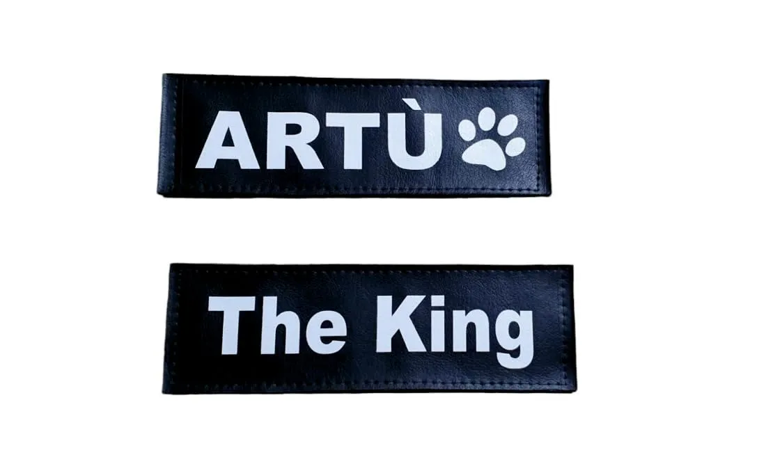 Lacucciadifido Etichette Personalizzate per Pettorina Cane Julius K9, 16 x 5 cm - immagine 3