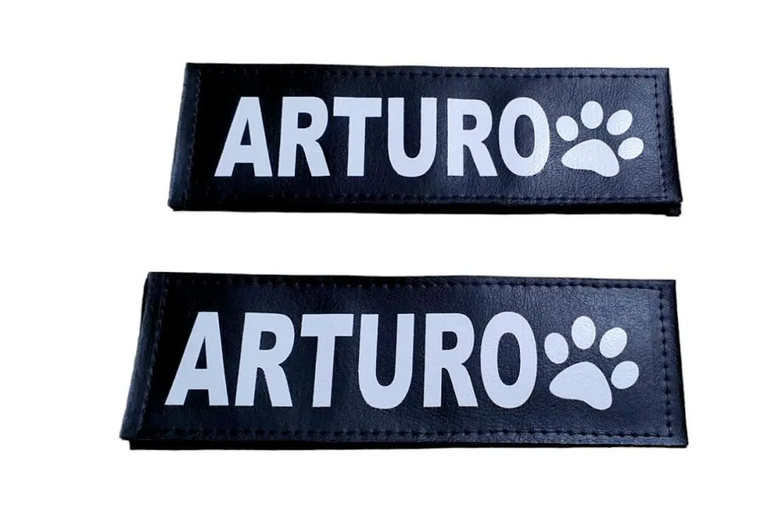 Lacucciadifido Etichette Personalizzate per Pettorina Cane Julius K9, 16 x 5 cm - immagine 4