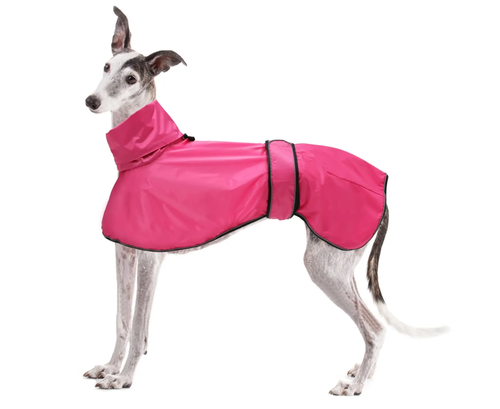 Geyecete Giacca Impermeabile per Cane, Regolabile e Leggera con Cinghie Riflettenti e Foro Pettorina per Levrieri, Lurcher e Whippet, Rosa, L - immagine 1