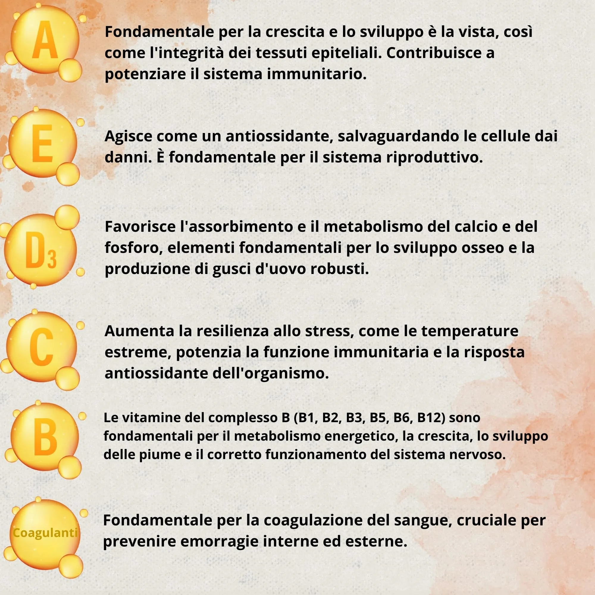 Dadecare Boostcare Multivitaminico 6 in 1 per Uccelli 250ml - immagine 4