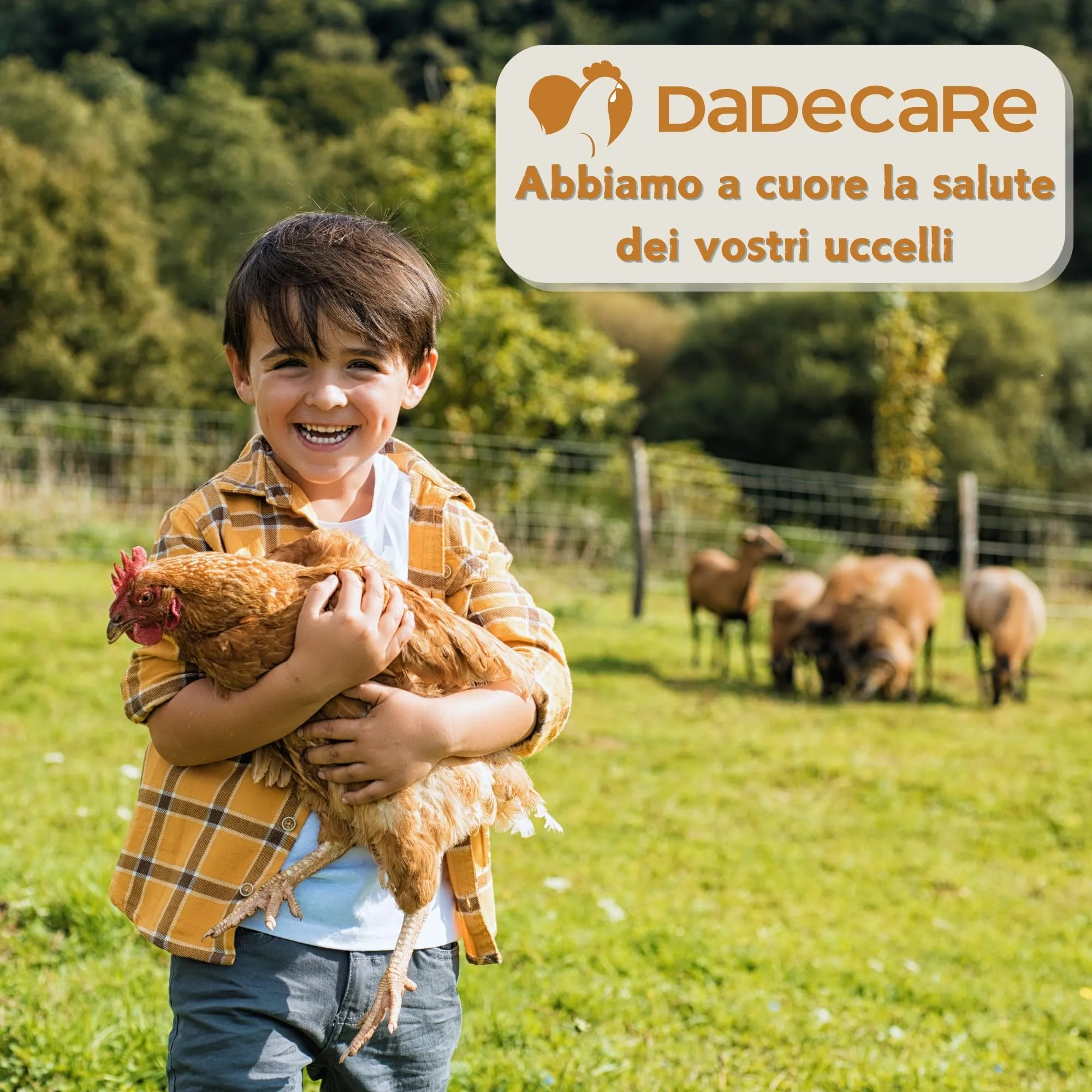 Dadecare Boostcare Multivitaminico 6 in 1 per Uccelli 250ml - immagine 7