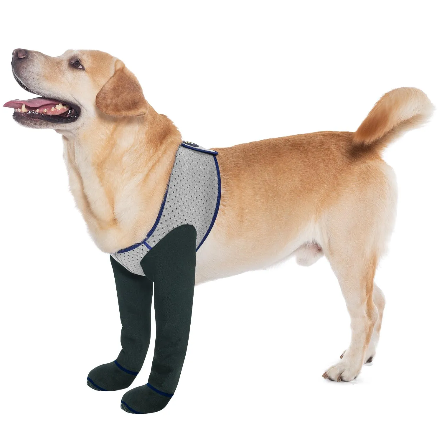 COODEO Calzini Anti-licking per Zampe di Cane, Protettori Antiscivolo Impermeabili per Protezione Post-Operatoria, Grigio, L - immagine 1