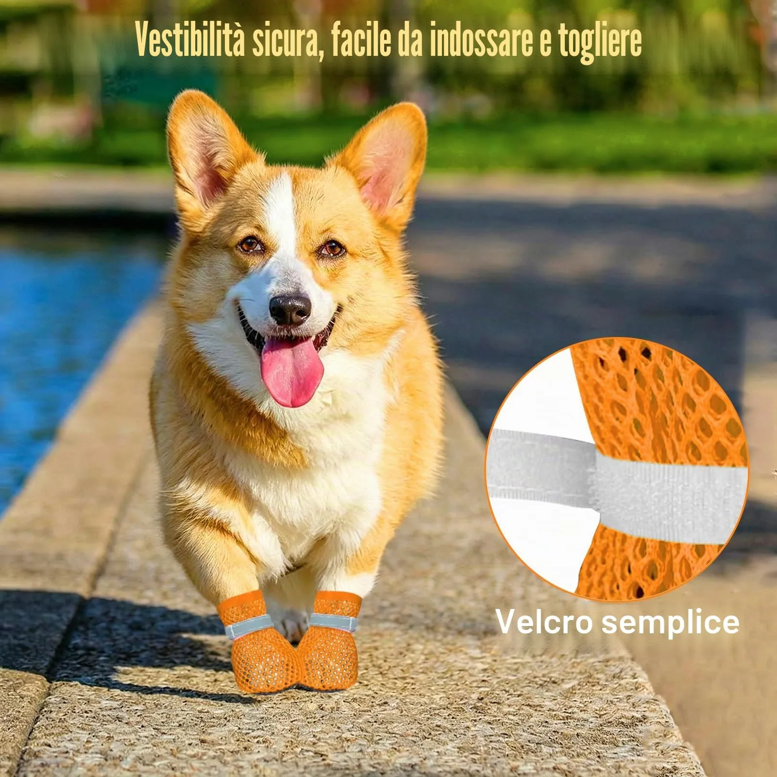 XIABYAYU Scarpe Estive per Cani Antiscivolo e Traspiranti, 4 Pezzi, Arancione M - immagine 3