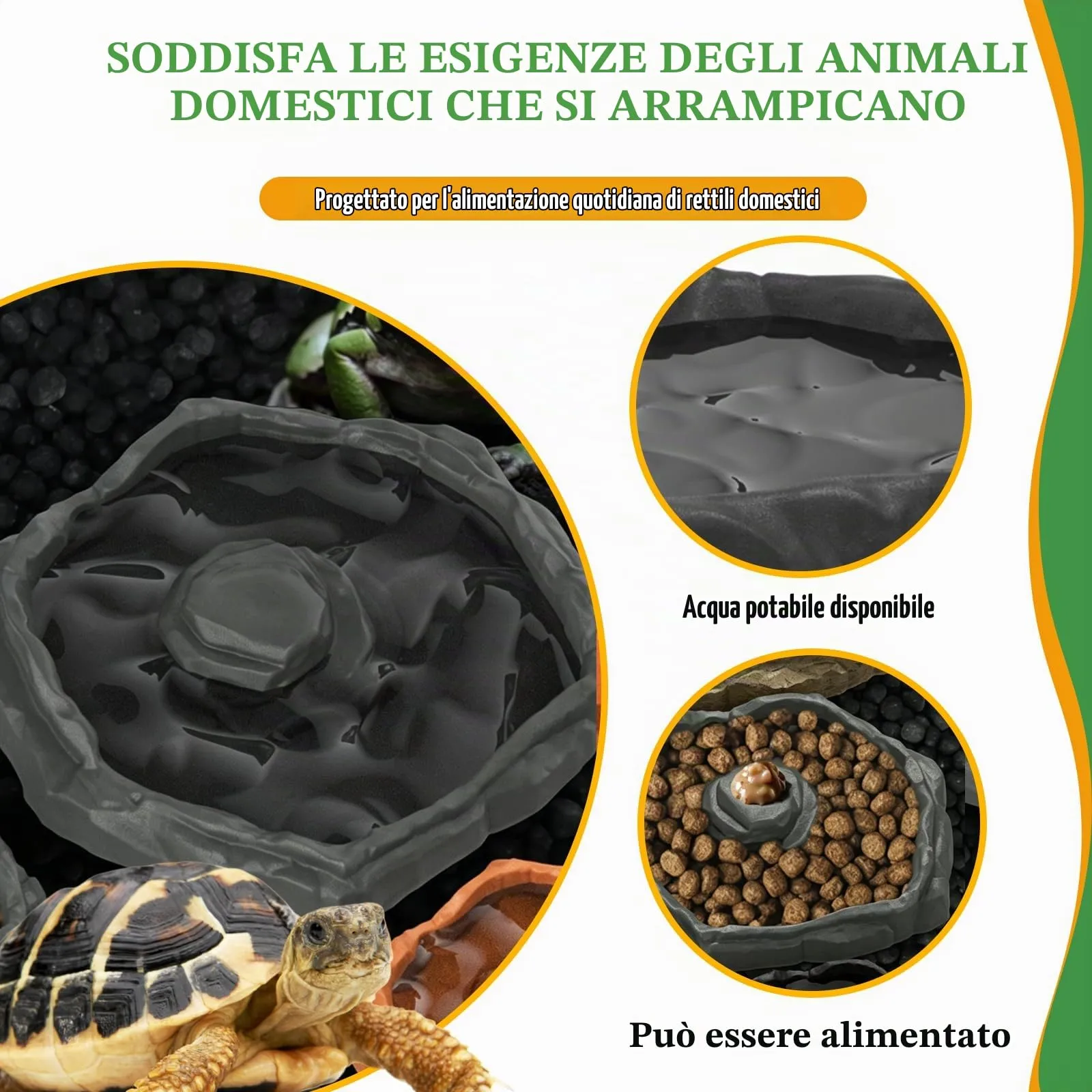 MaNeaz Ciotola Abbeveratoio e Bacino Alimentare per Tartarughe di Terra, Geco e Serpenti (E) - immagine 3