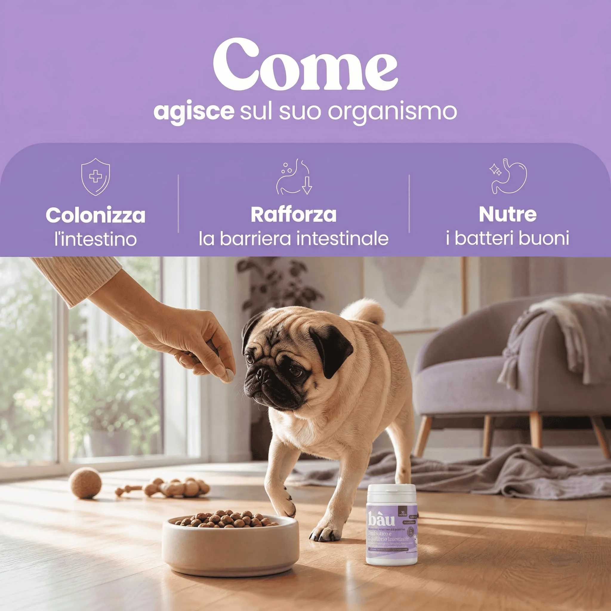 Bau Probiotici e Fermenti Lattici per Cani, Supporto Gastrointestinale e Digestivo, 120 capsule - immagine 3