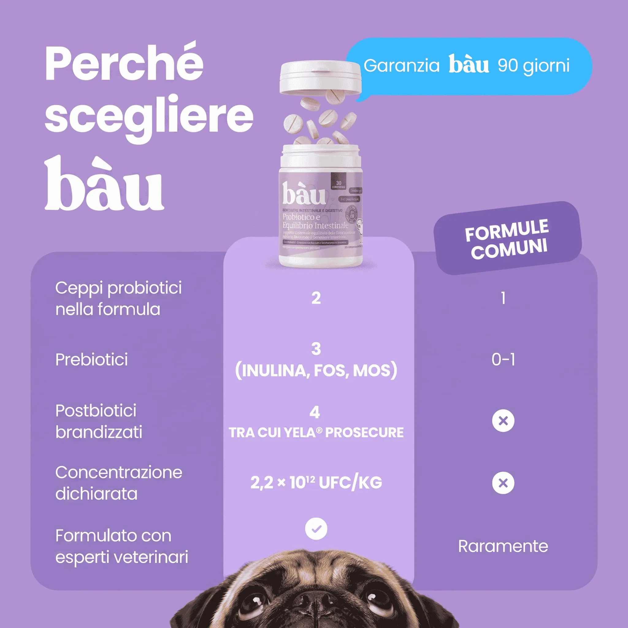 Bau Probiotici e Fermenti Lattici per Cani, Supporto Gastrointestinale e Digestivo, 30 capsule - immagine 8
