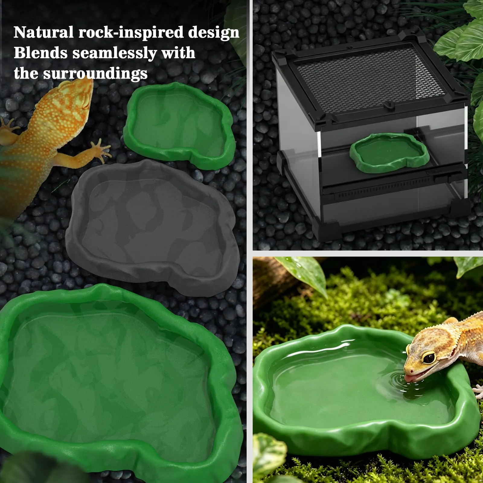 MaNeaz Ciotola per Tartarughe di Terra e Rettili, Abbeveratoio e Bacino Alimentare per Geco e Serpente, 2 Pezzi (Verde) - immagine 5