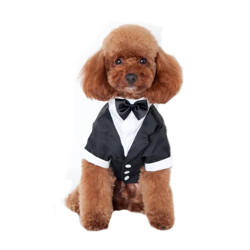 Keysui Primavera Estate Pet Dress Suit for Small Dogs and Teddies - immagine 1