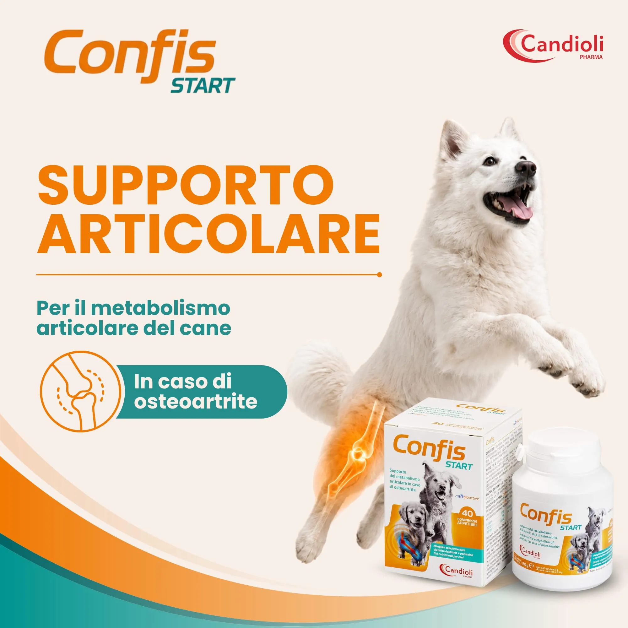 Candioli Confis Start Supporto Metabolismo Articolare per Cani, 40 Compresse, 80 g - immagine 2