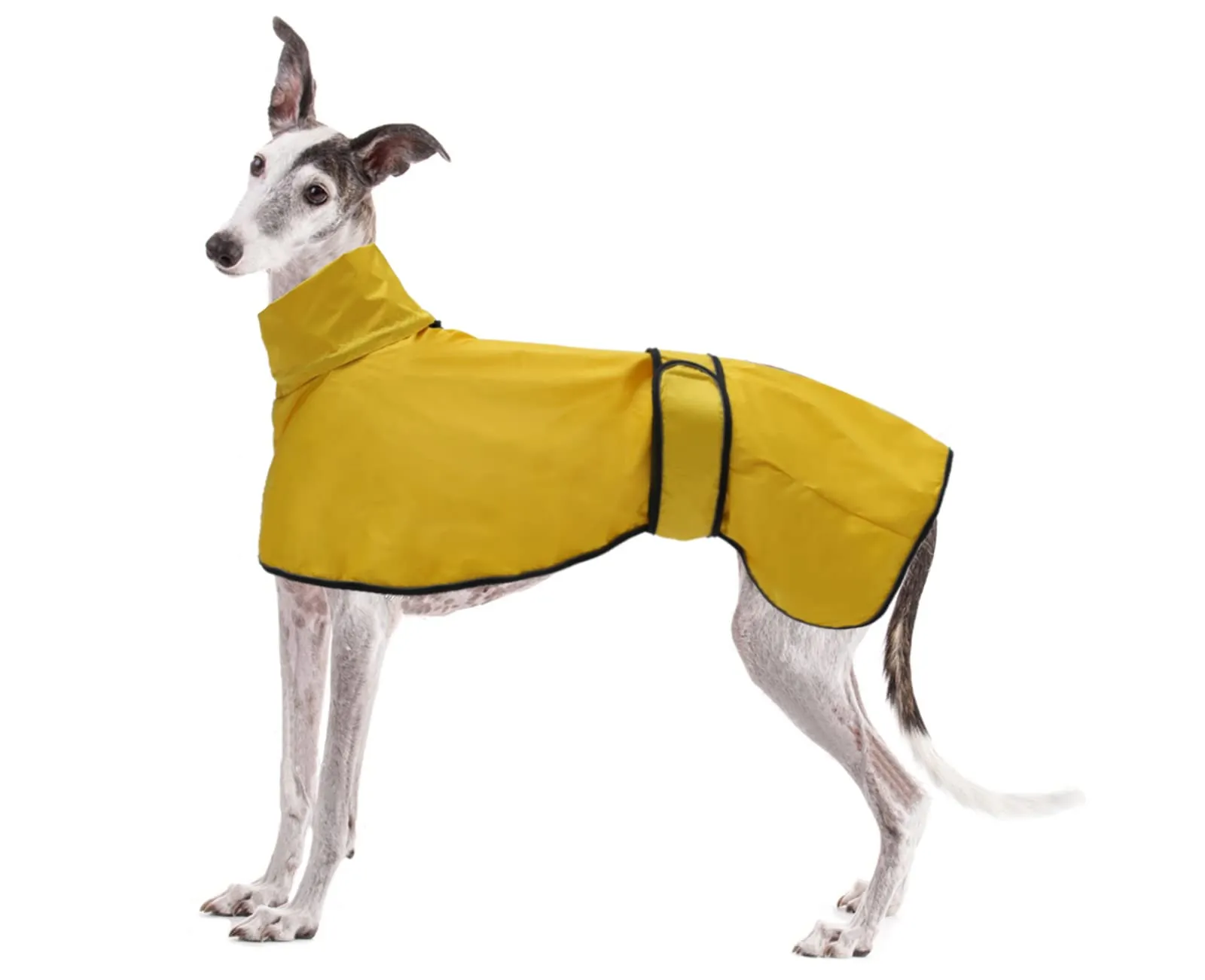 Geyecete Giacca Impermeabile per Cane Regolabile e Leggera con Cinghie Riflettenti e Foro Pettorina per Levrieri, Lurcher e Whippet, Giallo, XXL - immagine 1