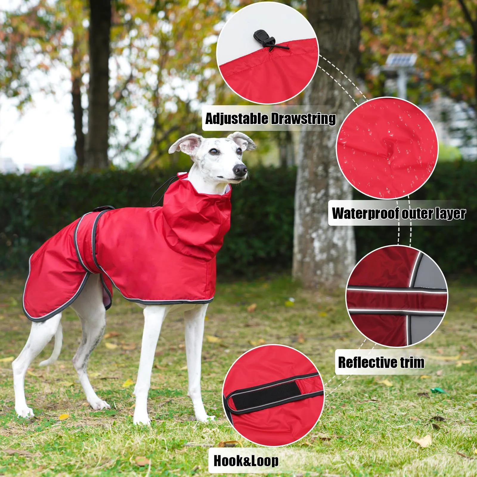 Geyecete Giacca Impermeabile per Cane per Levrieri, Lurcher e Whippet, con Cinghie Riflettenti e Foro Pettorina - Rosso - XL - immagine 2