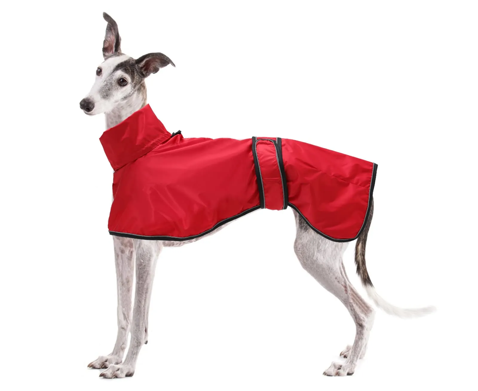 Geyecete Giacca Impermeabile per Cane Regolabile e Leggera con Cinghie Riflettenti e Foro Pettorina per Levrieri, Lurcher e Whippet, Rosso, M - immagine 1