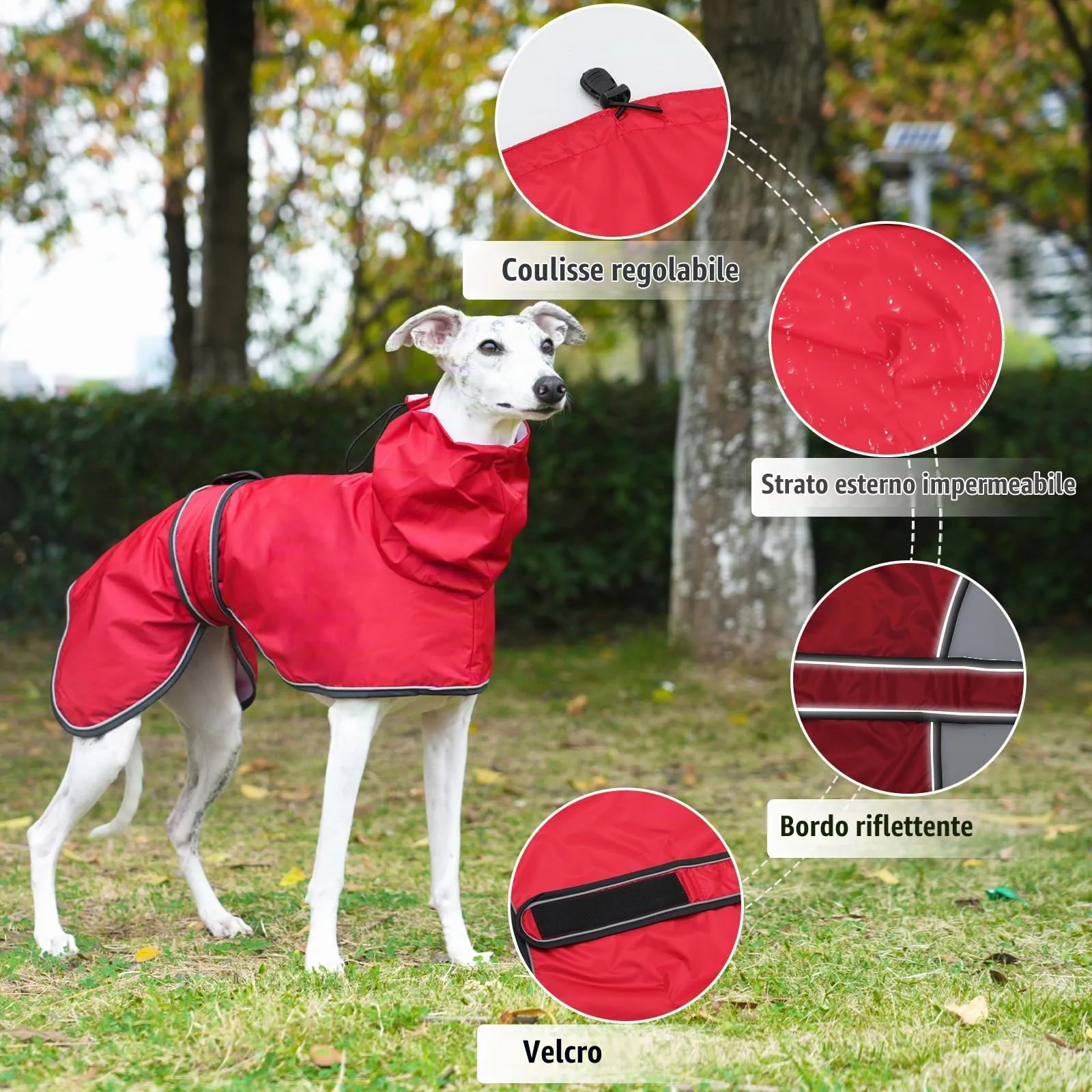 Geyecete Giacca Impermeabile per Cane Regolabile e Leggera con Cinghie Riflettenti e Foro Pettorina per Levrieri, Lurcher e Whippet, Rosso, M - immagine 2