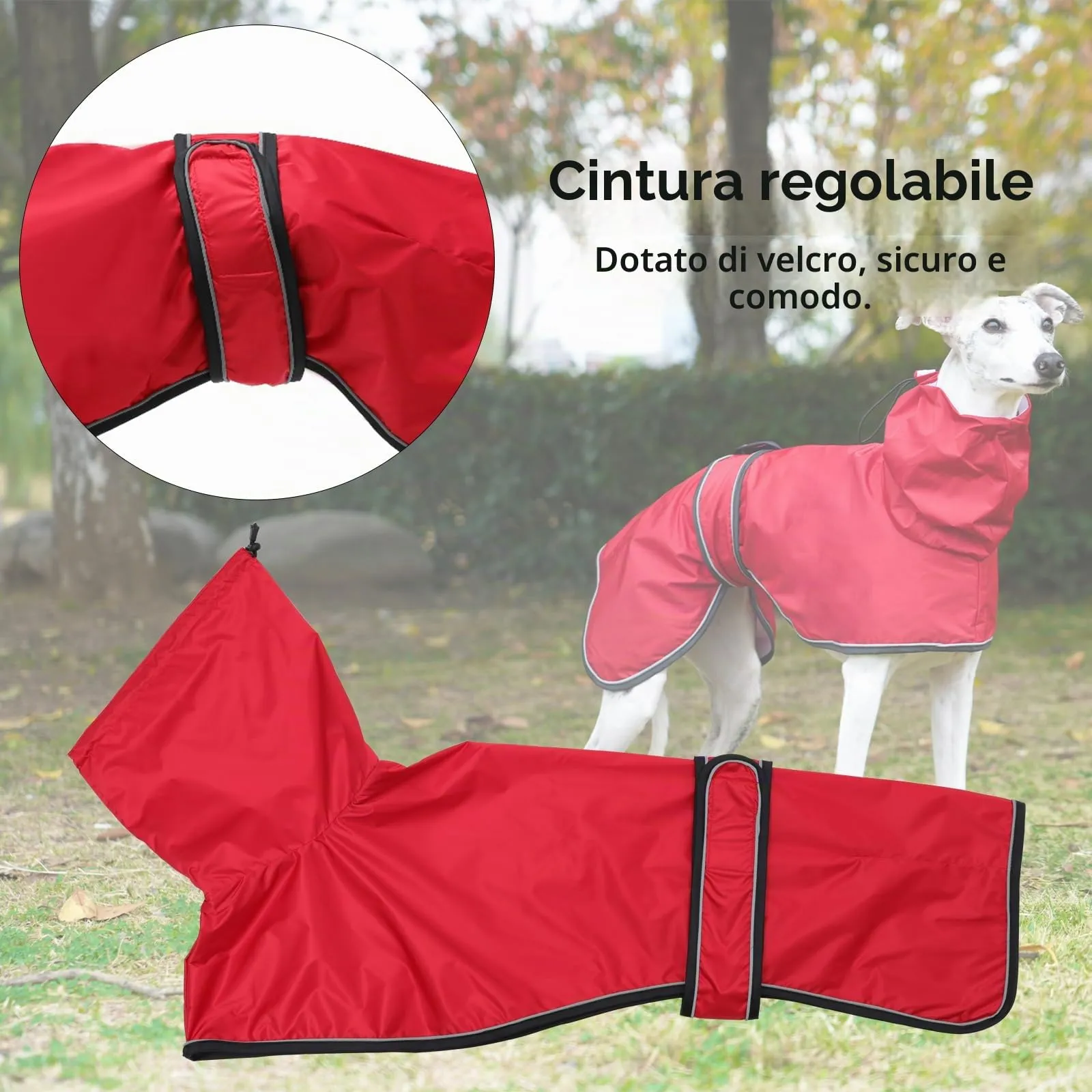 Geyecete Giacca Impermeabile per Cane Regolabile e Leggera con Cinghie Riflettenti e Foro Pettorina per Levrieri, Lurcher e Whippet, Rosso, M - immagine 3