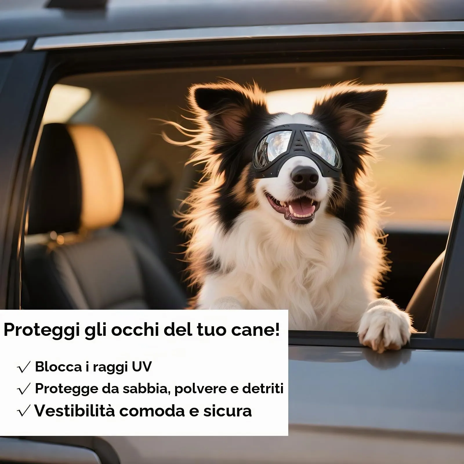 NAMSAN Occhiali da sole per cani taglia media e grande, UV, impermeabili e antivento, nero - immagine 3