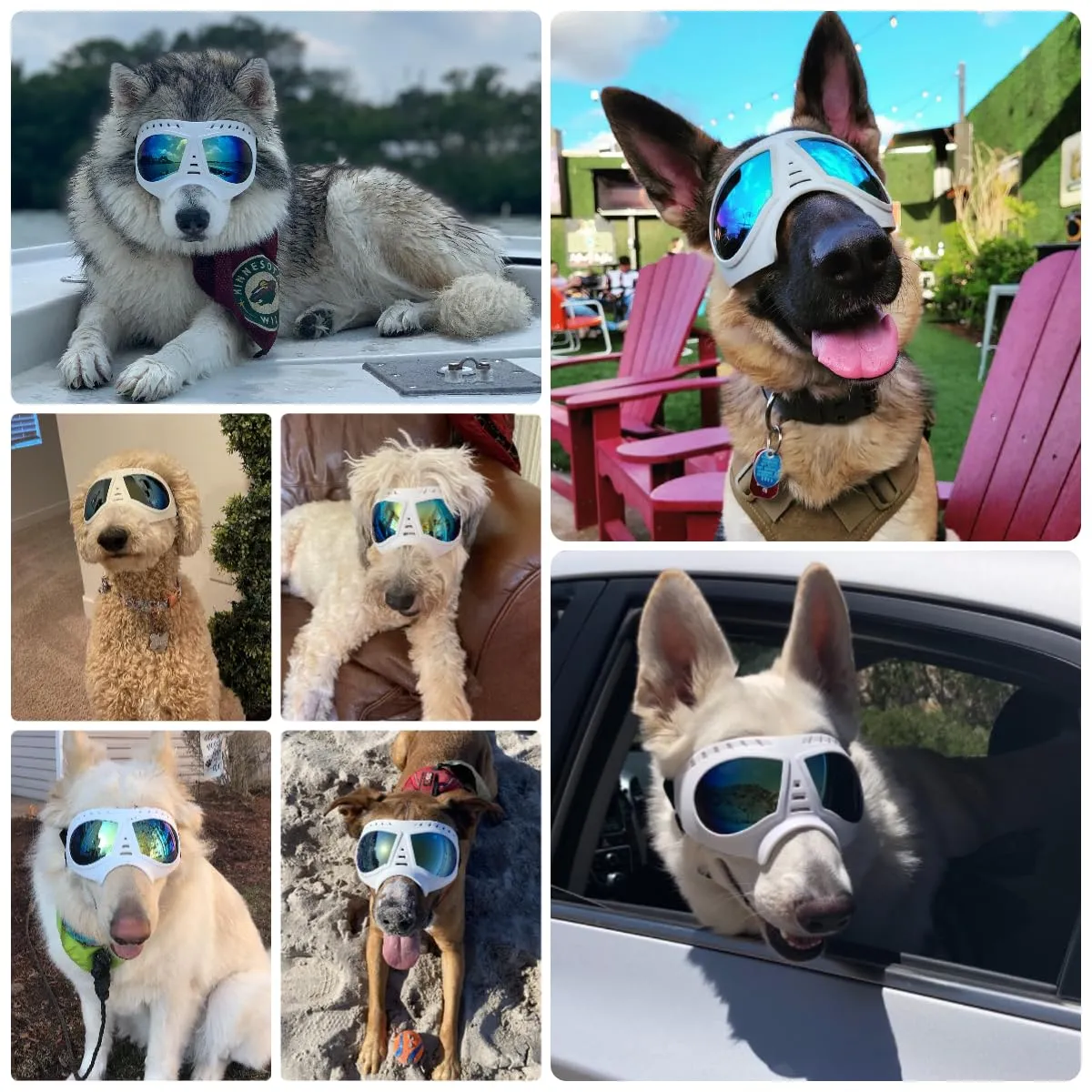 NAMSAN Occhiali da Sole per Cani Regolabili, Impermeabili e a Prova di Vento, Taglia L, Bianco - immagine 2
