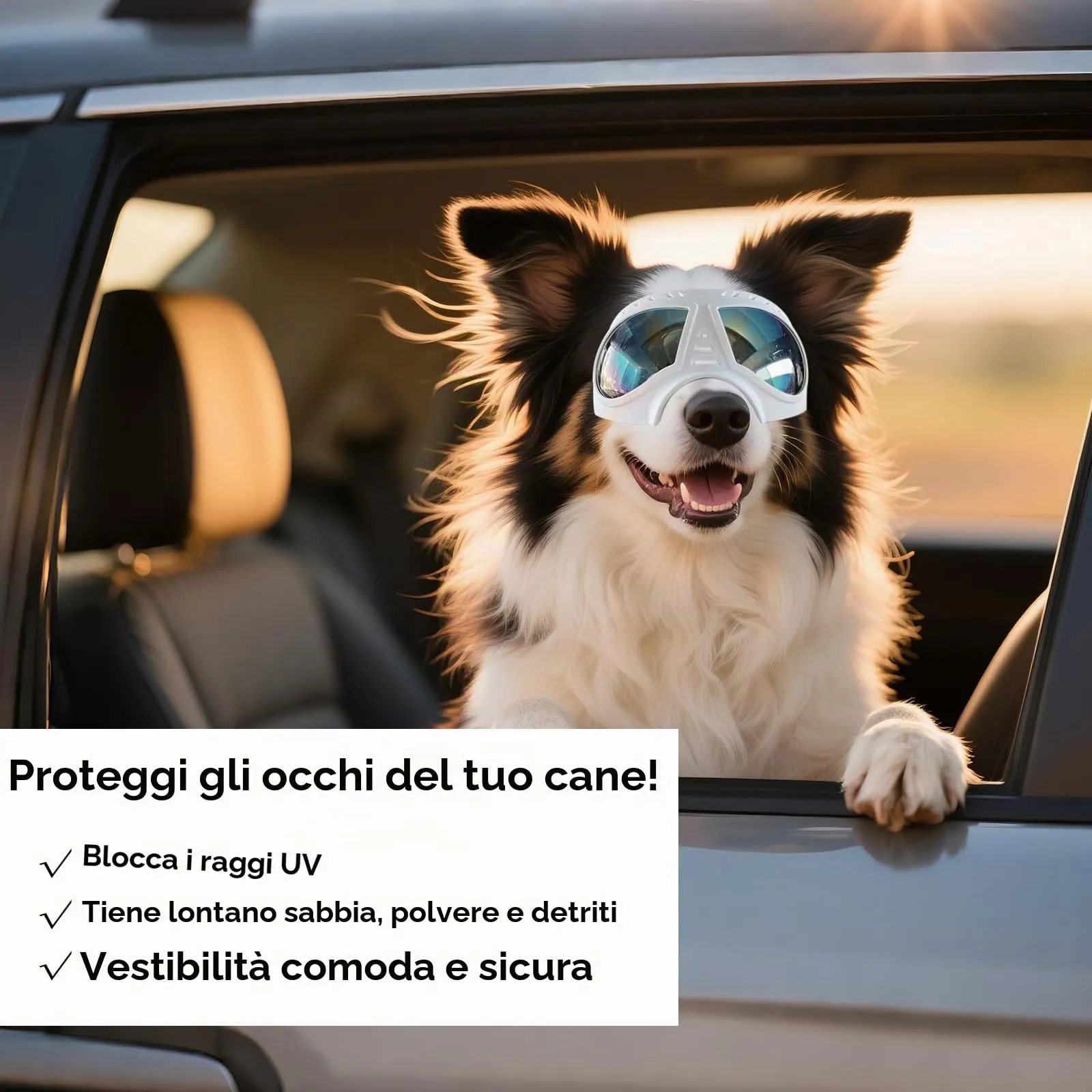 NAMSAN Occhiali da Sole per Cani Regolabili, Impermeabili e a Prova di Vento, Taglia L, Bianco - immagine 3