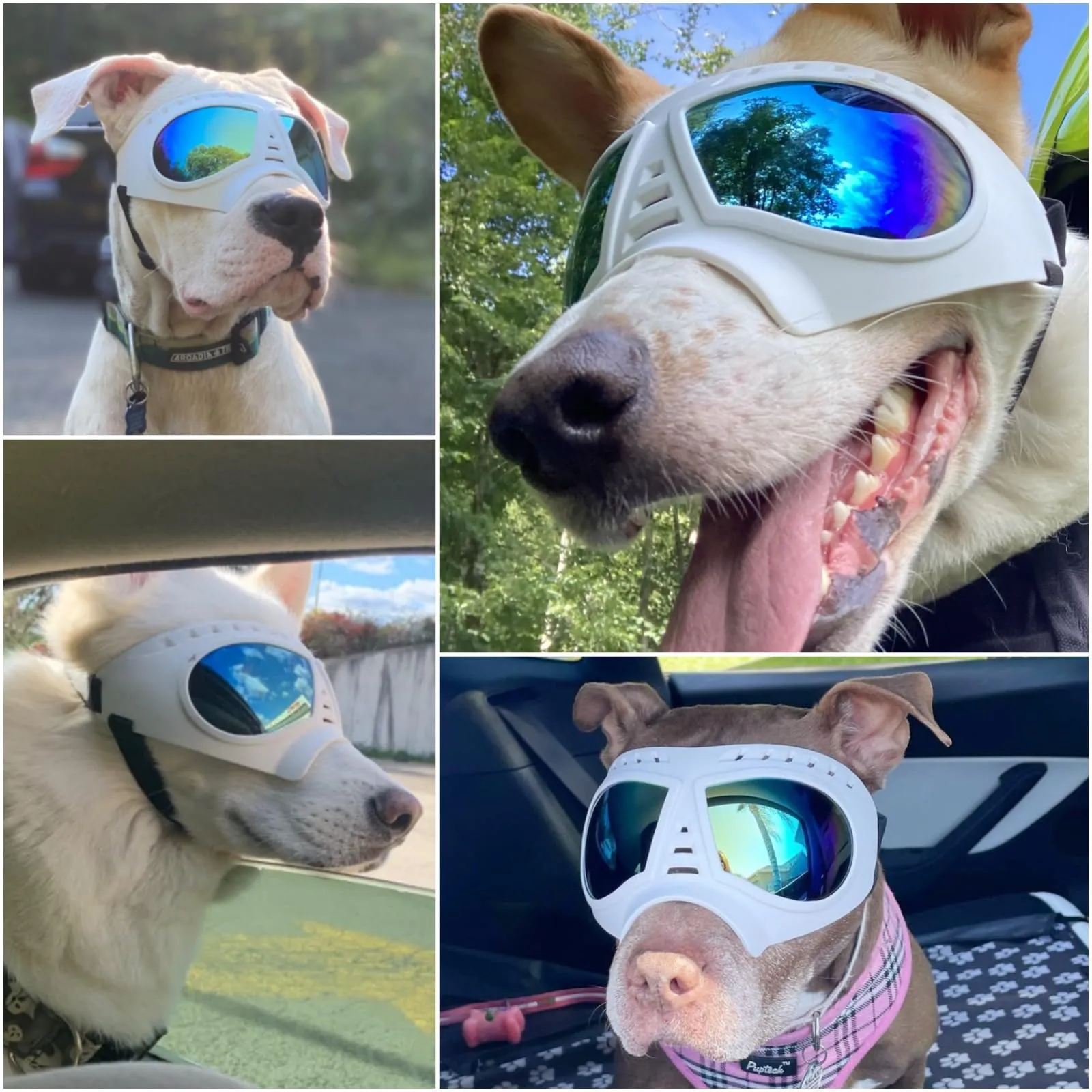 Namsan Occhiali da sole per cani di taglia medio-grande, anti-UV e antivento - immagine 2