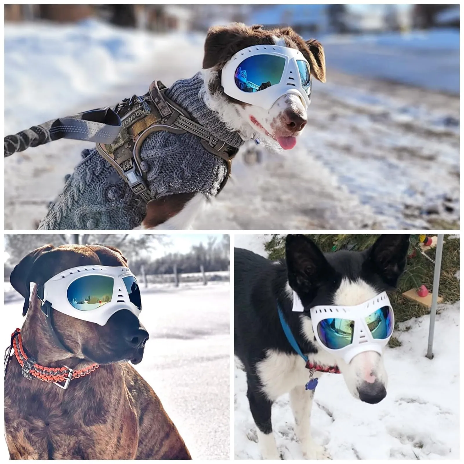 Namsan Occhiali da sole per cani di taglia medio-grande, anti-UV e antivento - immagine 8