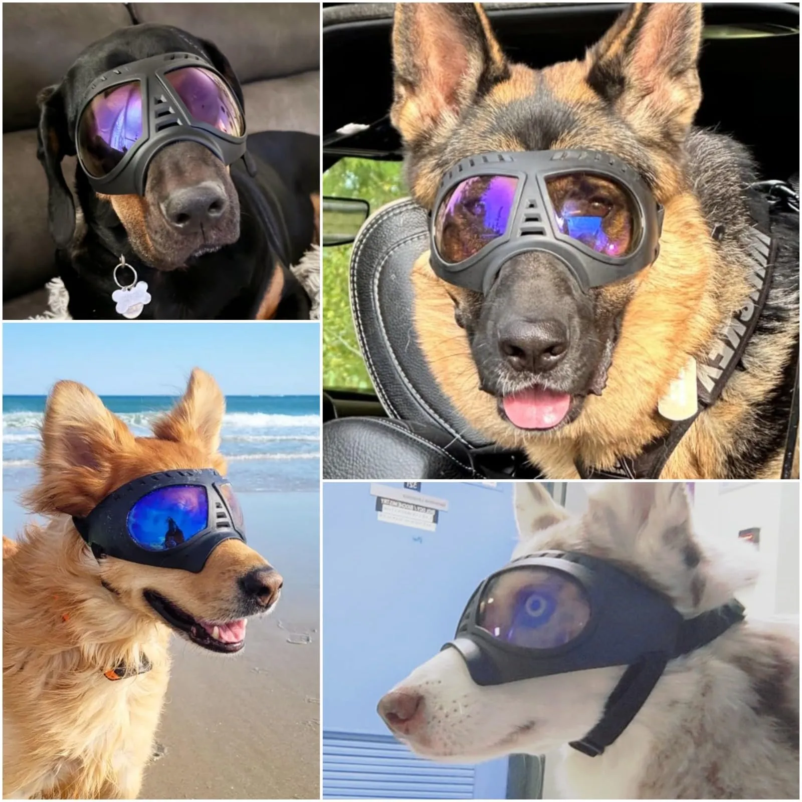 Namsan Occhialini Trasparenti per Cani di Taglia Grande, Montatura Morbida, Anti-UV, Blu Trasparente - immagine 2