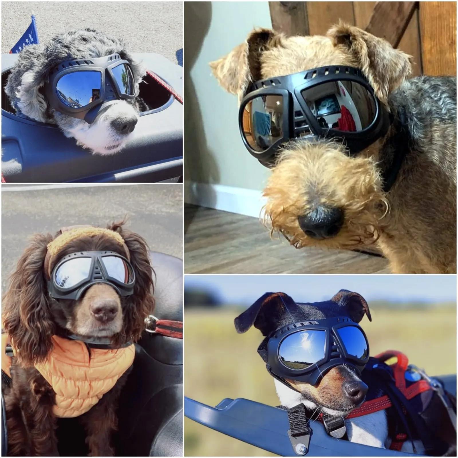 NAMSAN Occhiali da Sole per Cani, Regolabili e Anti-UV, per Taglie Piccola e Media - immagine 2