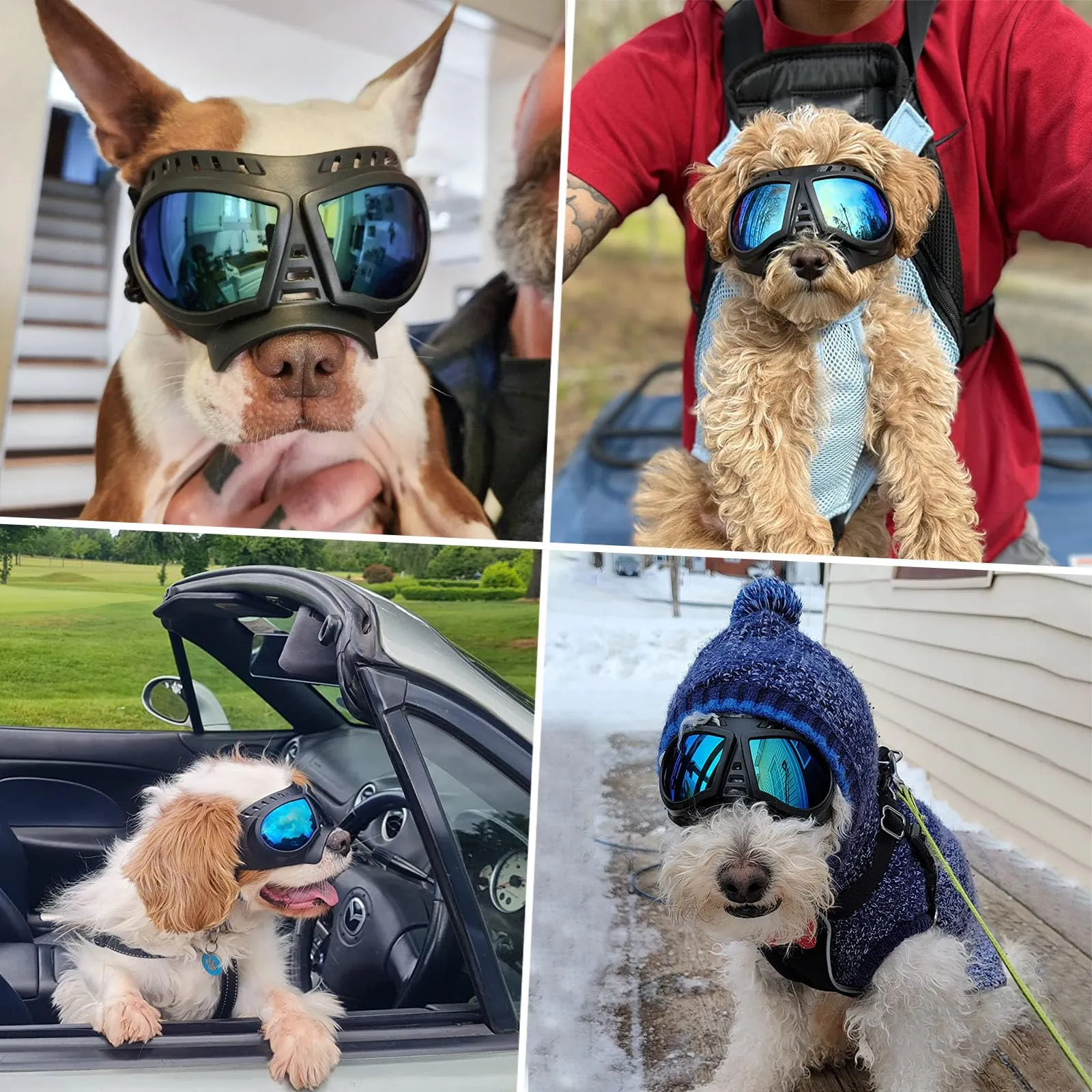 NAMSAN Occhiali da Sole Regolabili Anti-UV per Cani di Piccola e Media Taglia - immagine 7
