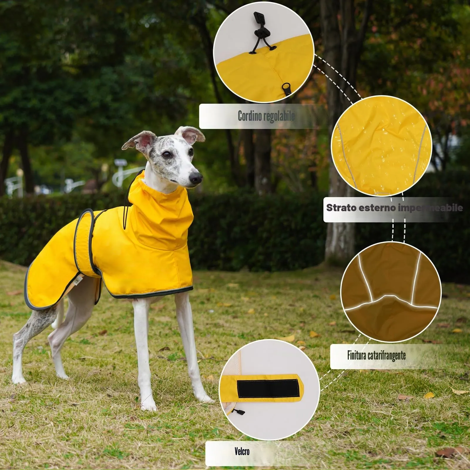 Geyecete Giacca Impermeabile per Cane, Riflettente con Foro Pettorina per Levrieri, Lurcher e Whippet, Giallo, L - immagine 2