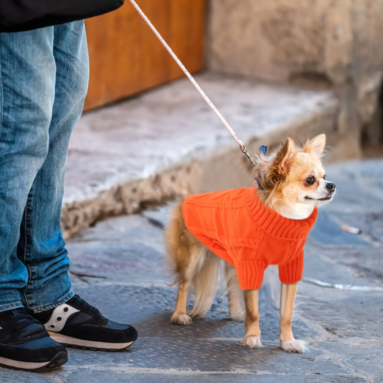Queenmore Maglione per Cani Bassotto Caldo Elastico con Collo Alto, Arancione, XL - immagine 7
