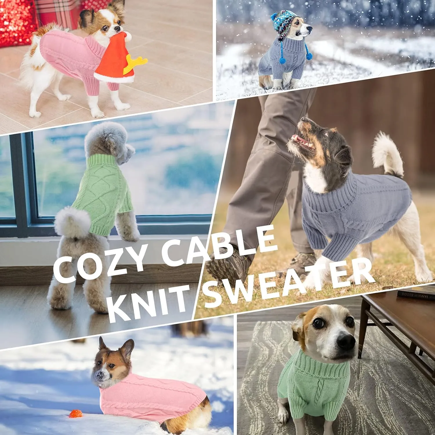 Queenmore Maglione per Cane Bassotto, L - immagine 6