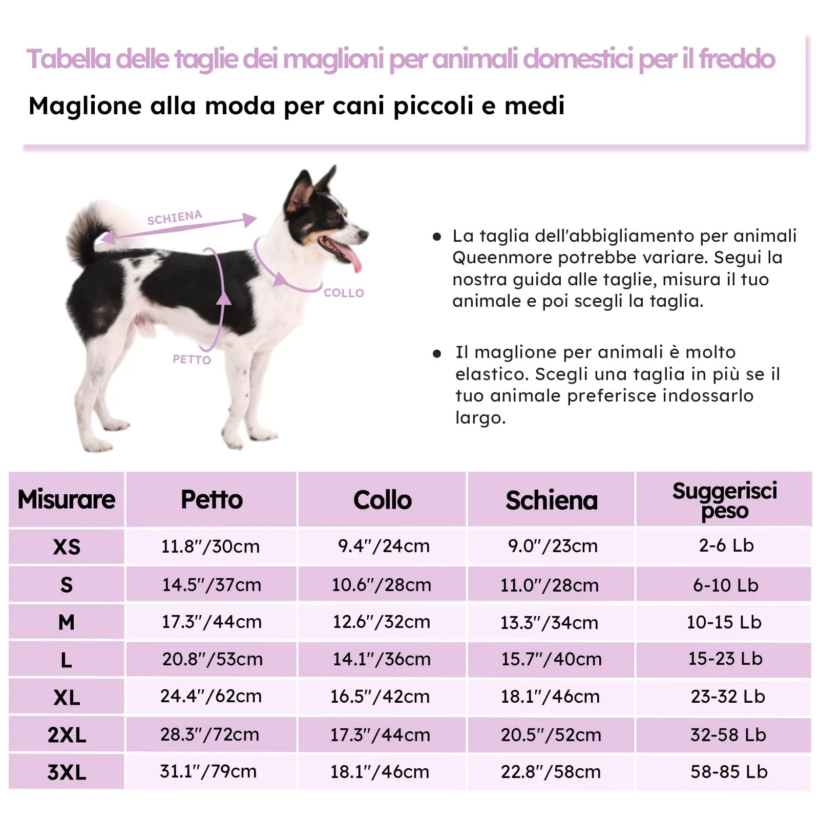Queenmore Maglioncino per Bassotto, Felpa a Collo Alto Ritorto, Taglia M - immagine 4