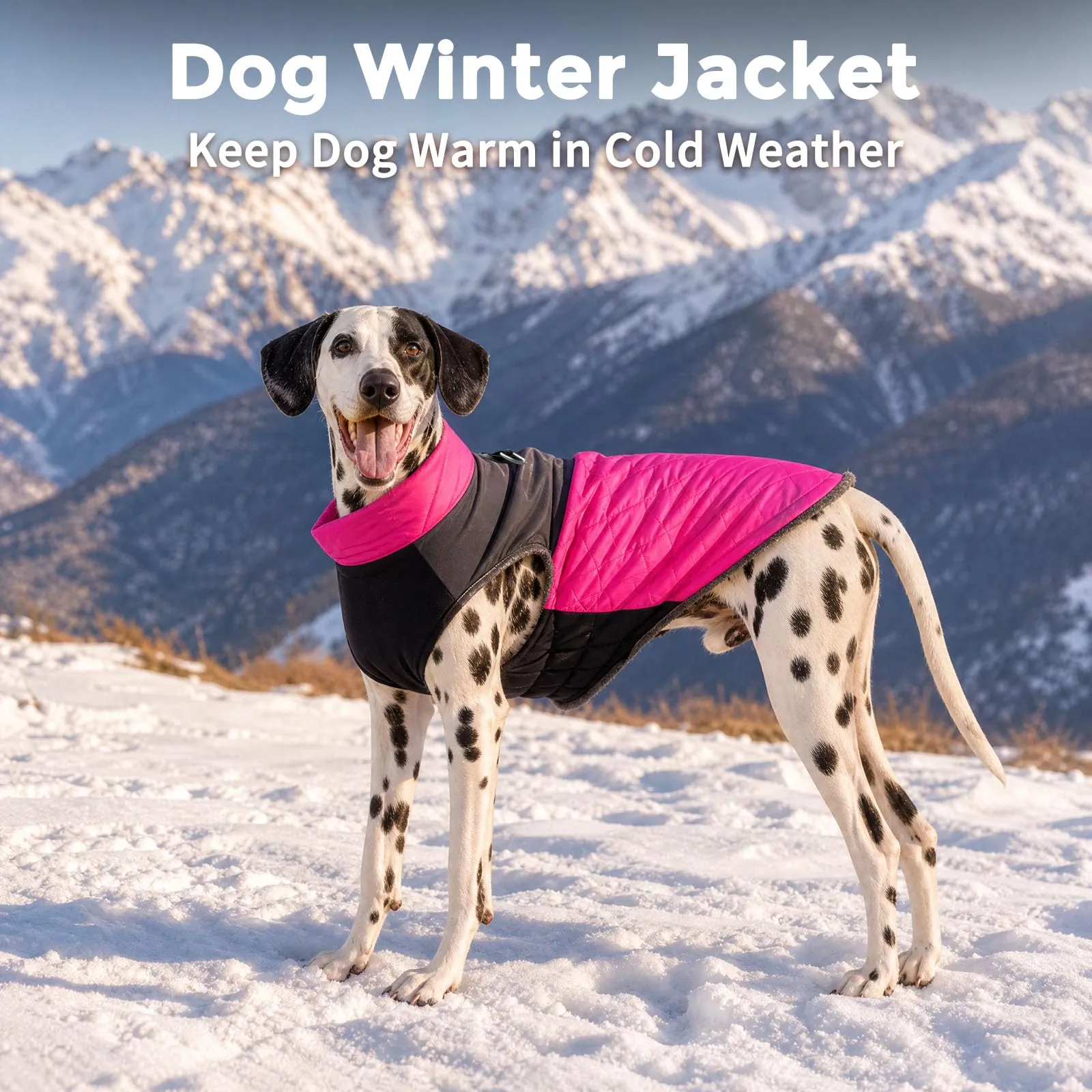 JoyDaog Cappottino per cani impermeabile in pile per inverno, rosa, XXL - immagine 8