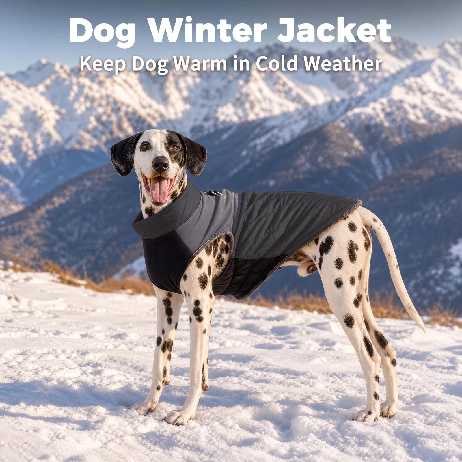 JoyDaog Cappottino per cani di piccola taglia impermeabile in pile, nero, M - immagine 8