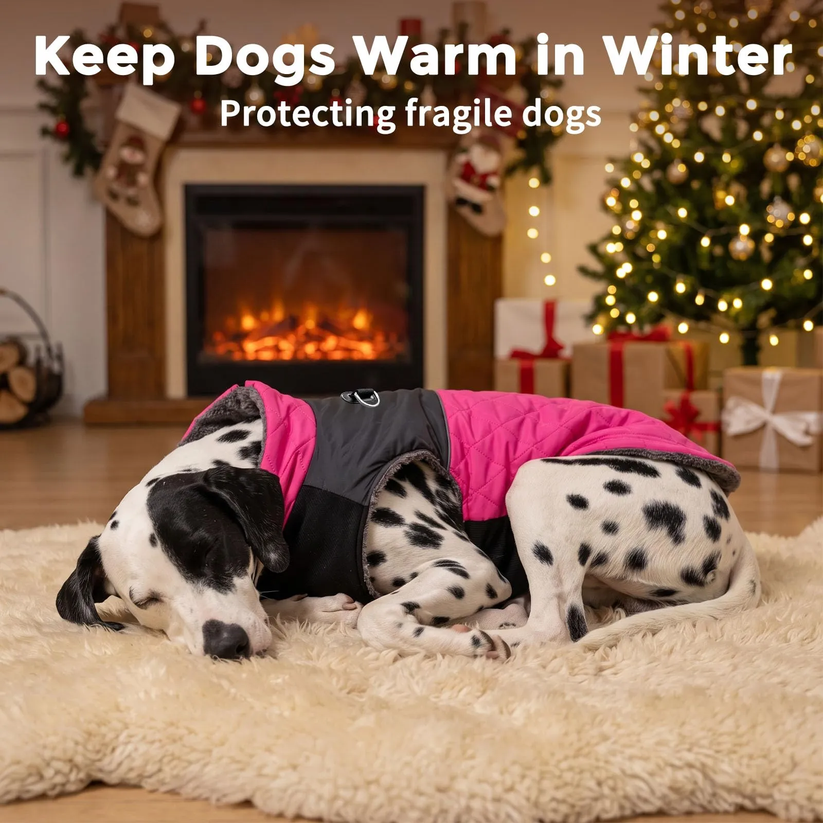 JoyDaog Cappottino Impermeabile in Pile per Cani di Piccola Taglia, Rosa, S - immagine 9