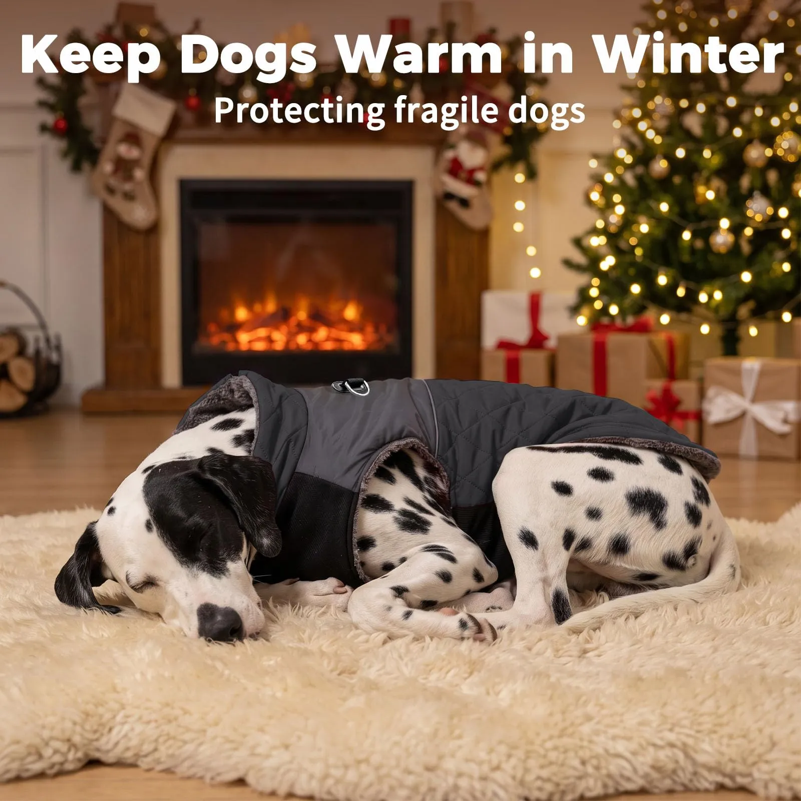 JoyDaog Cappottino Impermeabile in Pile per Cani, Nero, XL - immagine 9