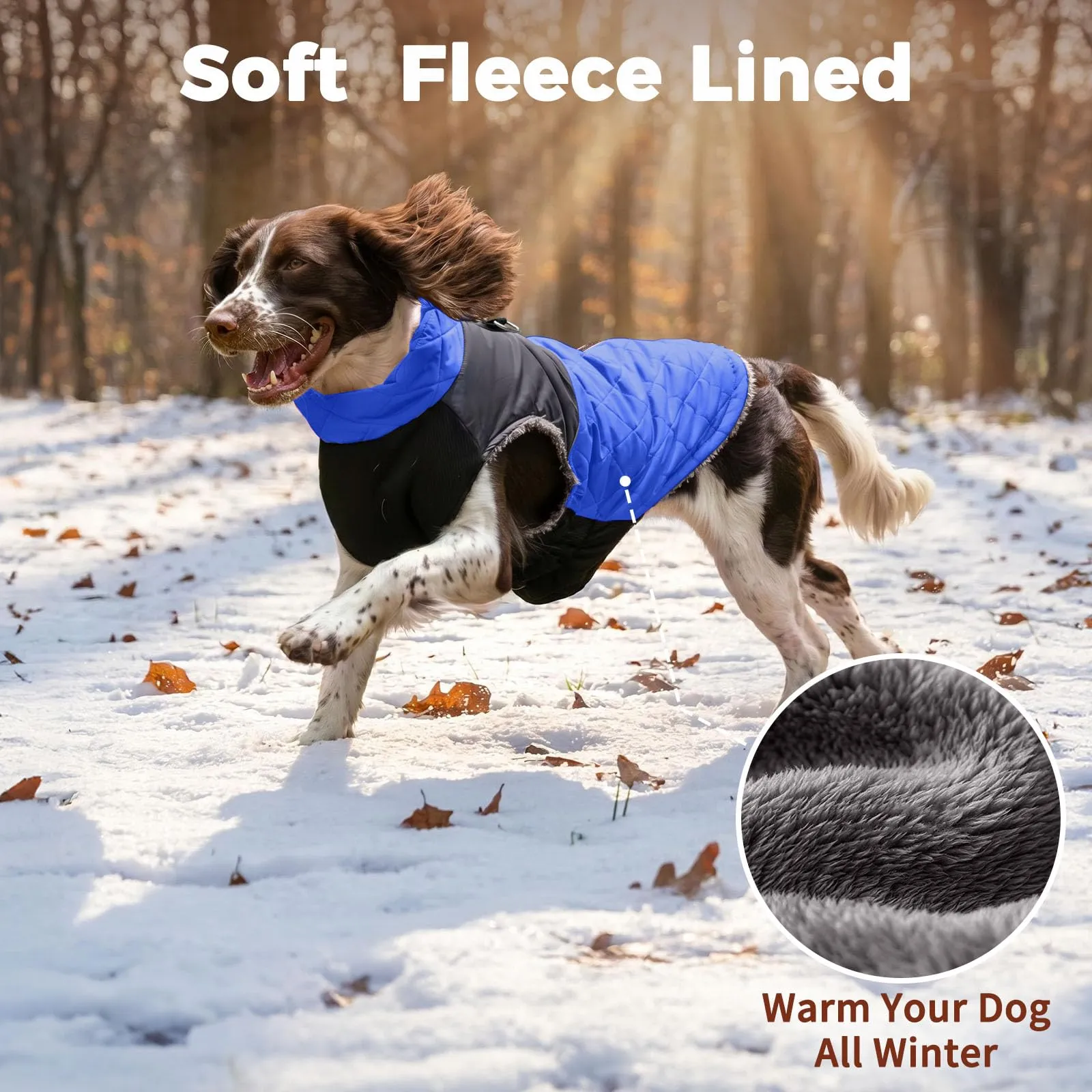 JoyDaog Cappotto Invernale Impermeabile per Cani di Piccola Taglia, Blu - immagine 3