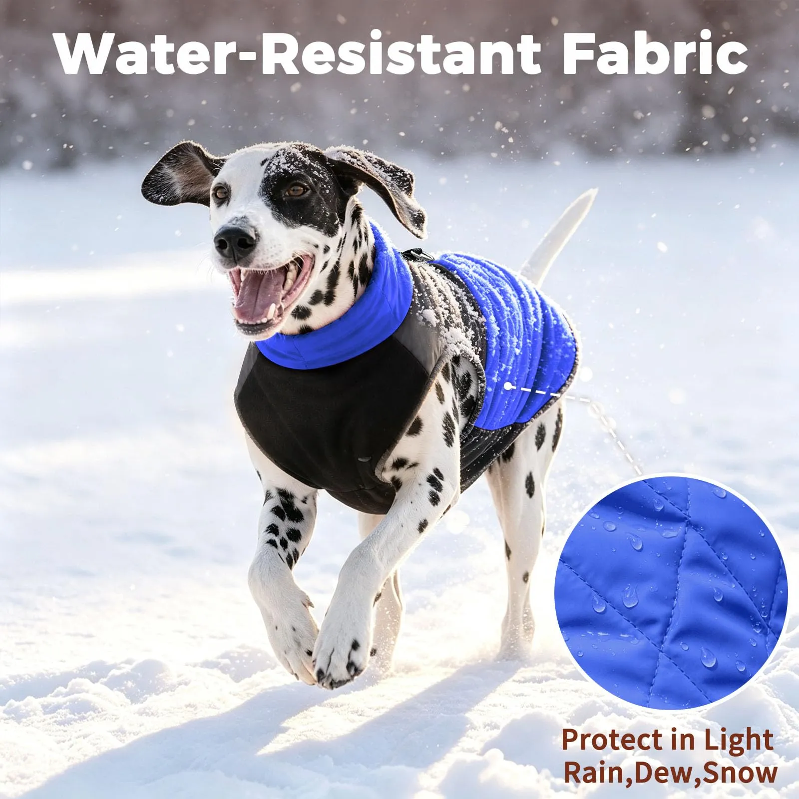 JoyDaog Cappotto Invernale Impermeabile per Cani di Piccola Taglia, Blu - immagine 4