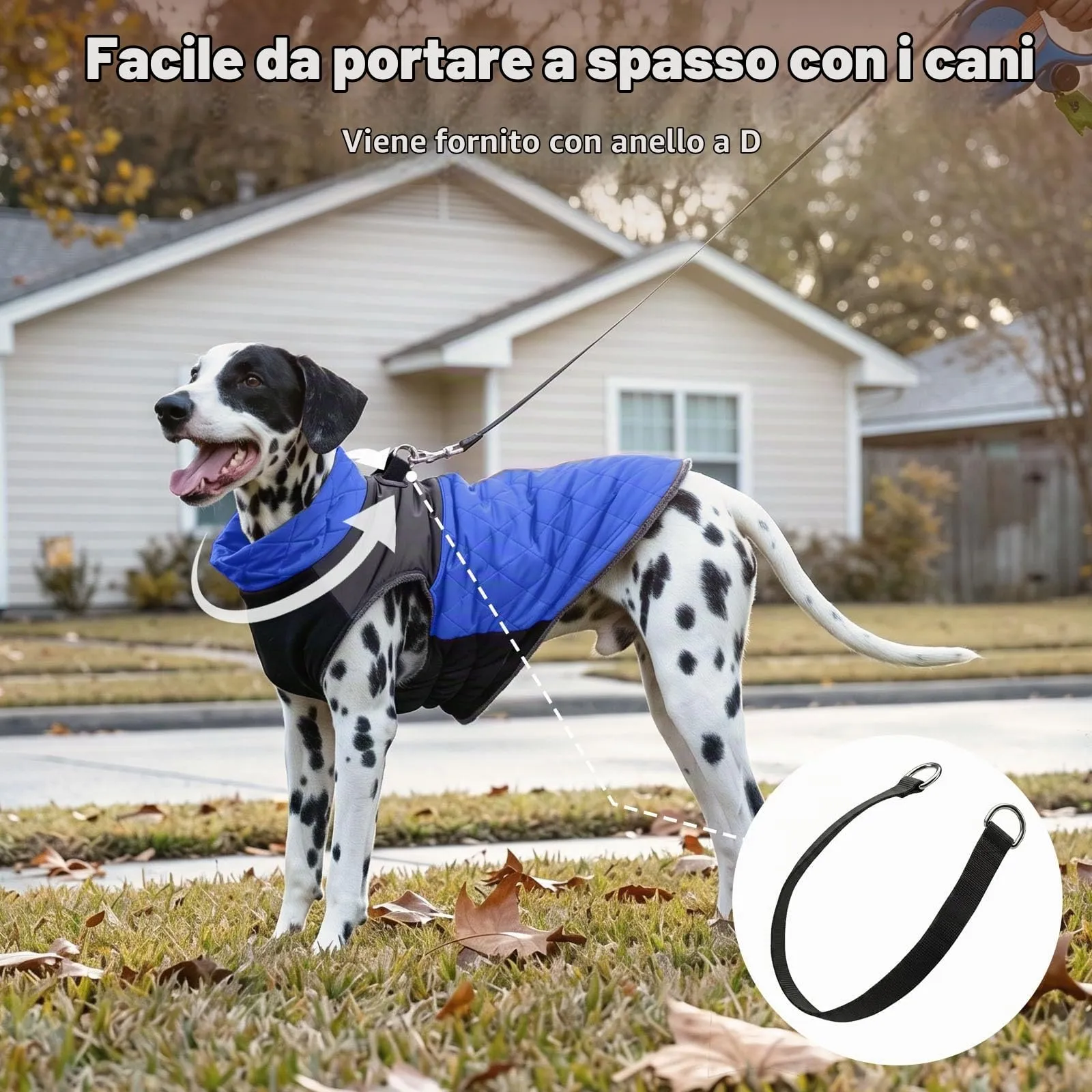 JoyDaog Cappotto Invernale Impermeabile per Cani di Piccola Taglia, Blu - immagine 7