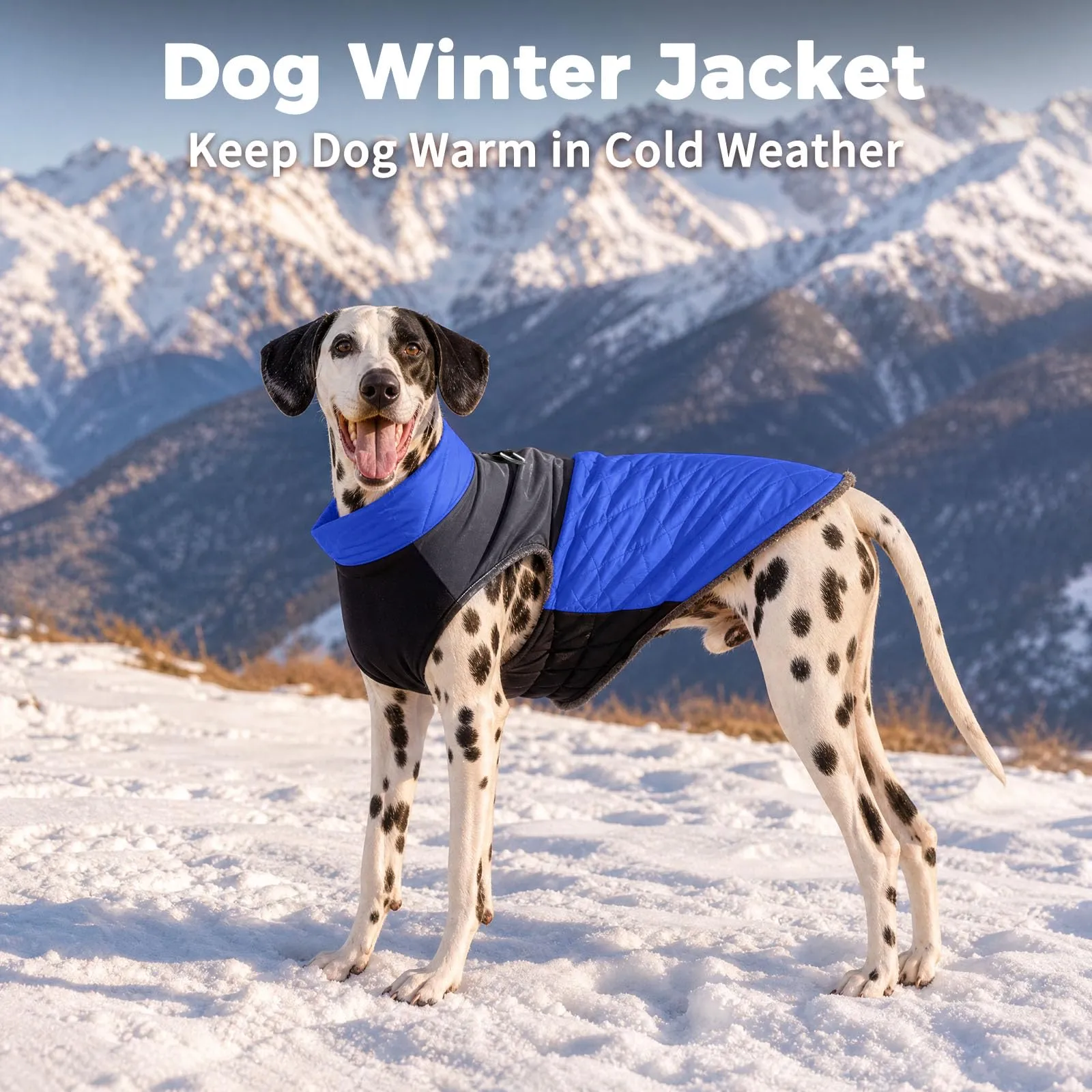 JoyDaog Cappottino Impermeabile in Pile per Cani di Piccola Taglia, Blu, M - immagine 8
