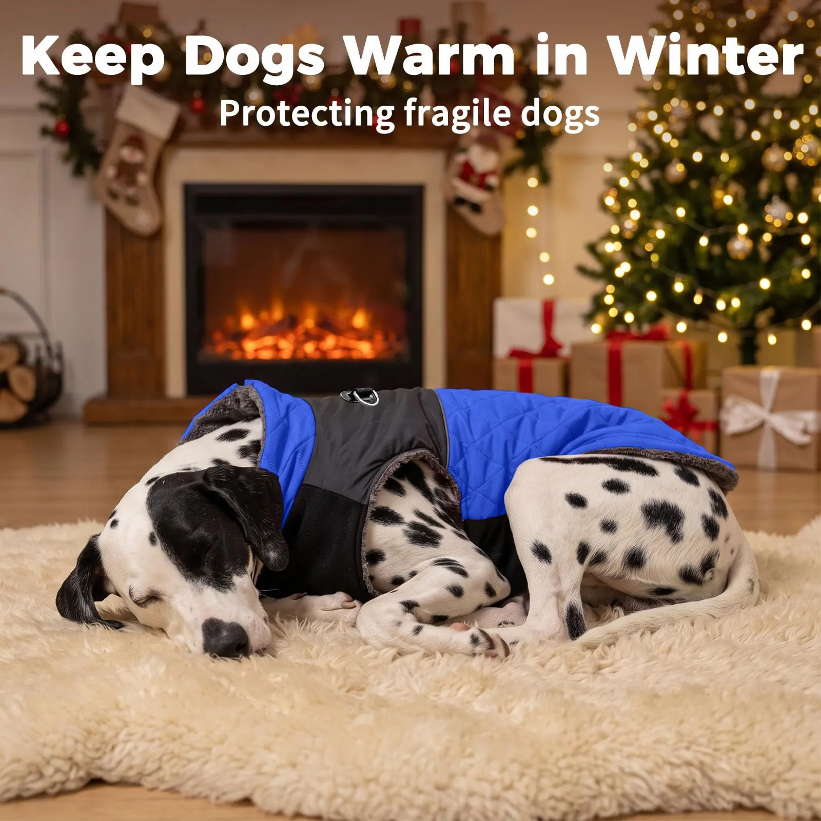 JoyDaog Cappottino Impermeabile in Pile per Cani di Piccola Taglia, Blu, M - immagine 9