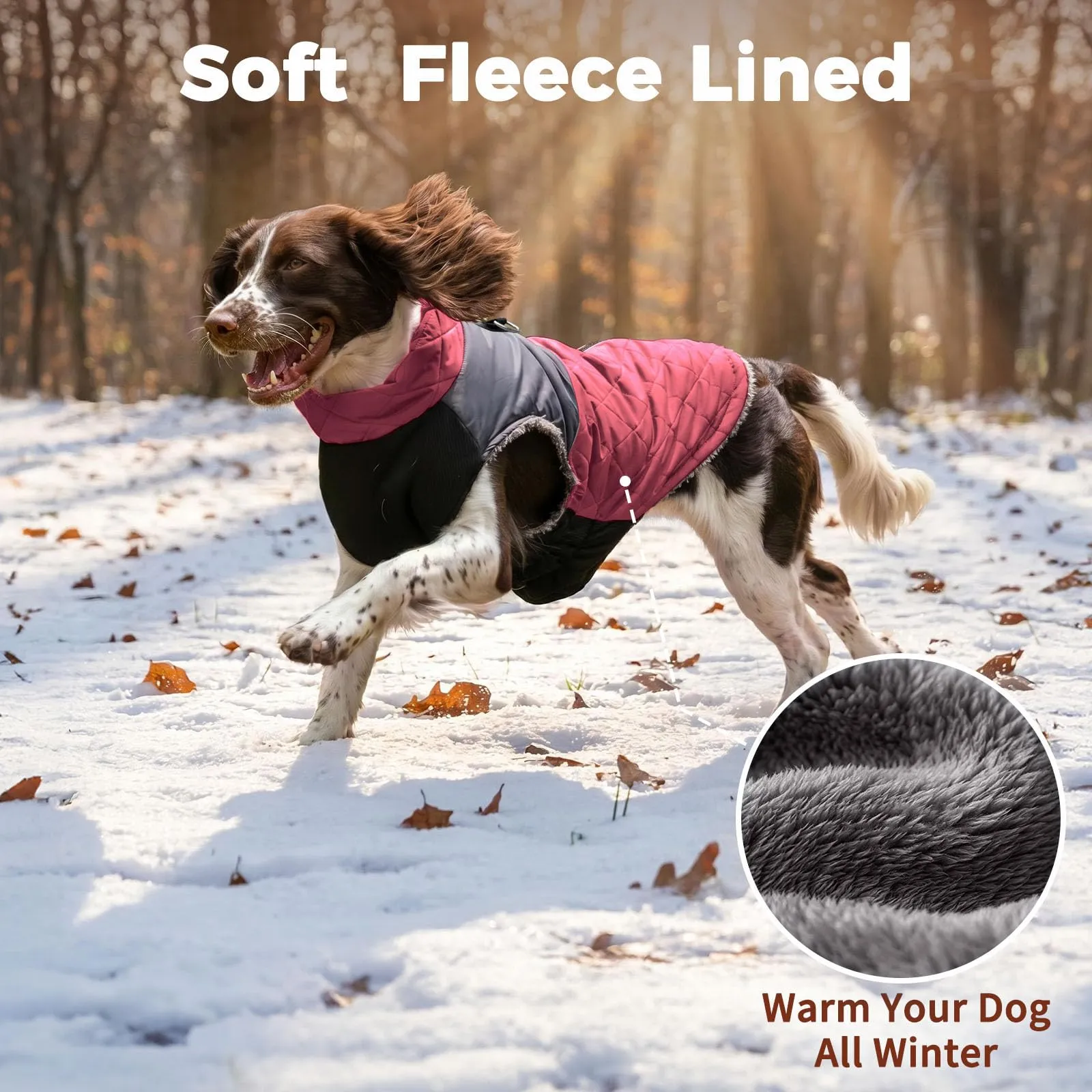 JoyDaog Cappotto Invernale per Cani di Piccola Taglia, Taglia M, Rosso - immagine 3