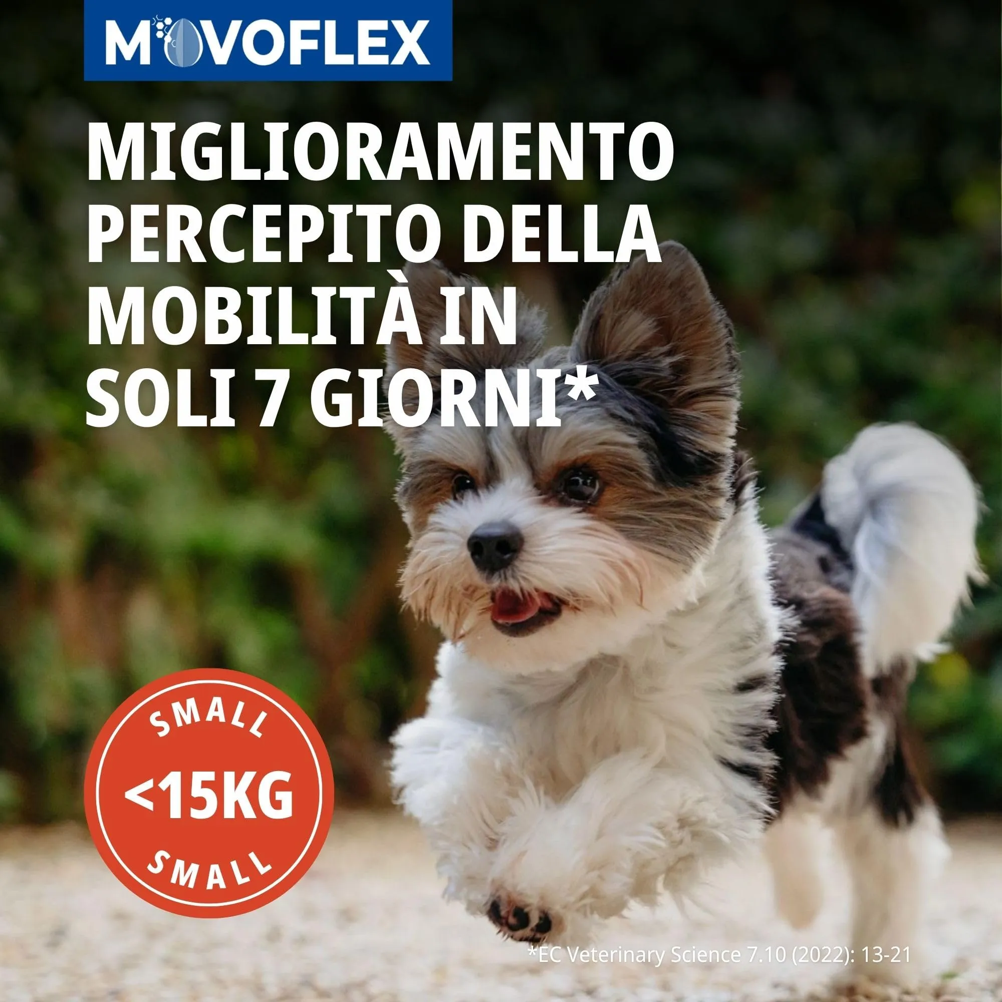 Virbac Movoflex Soft Chews Supporto Articolare per Cani - immagine 2