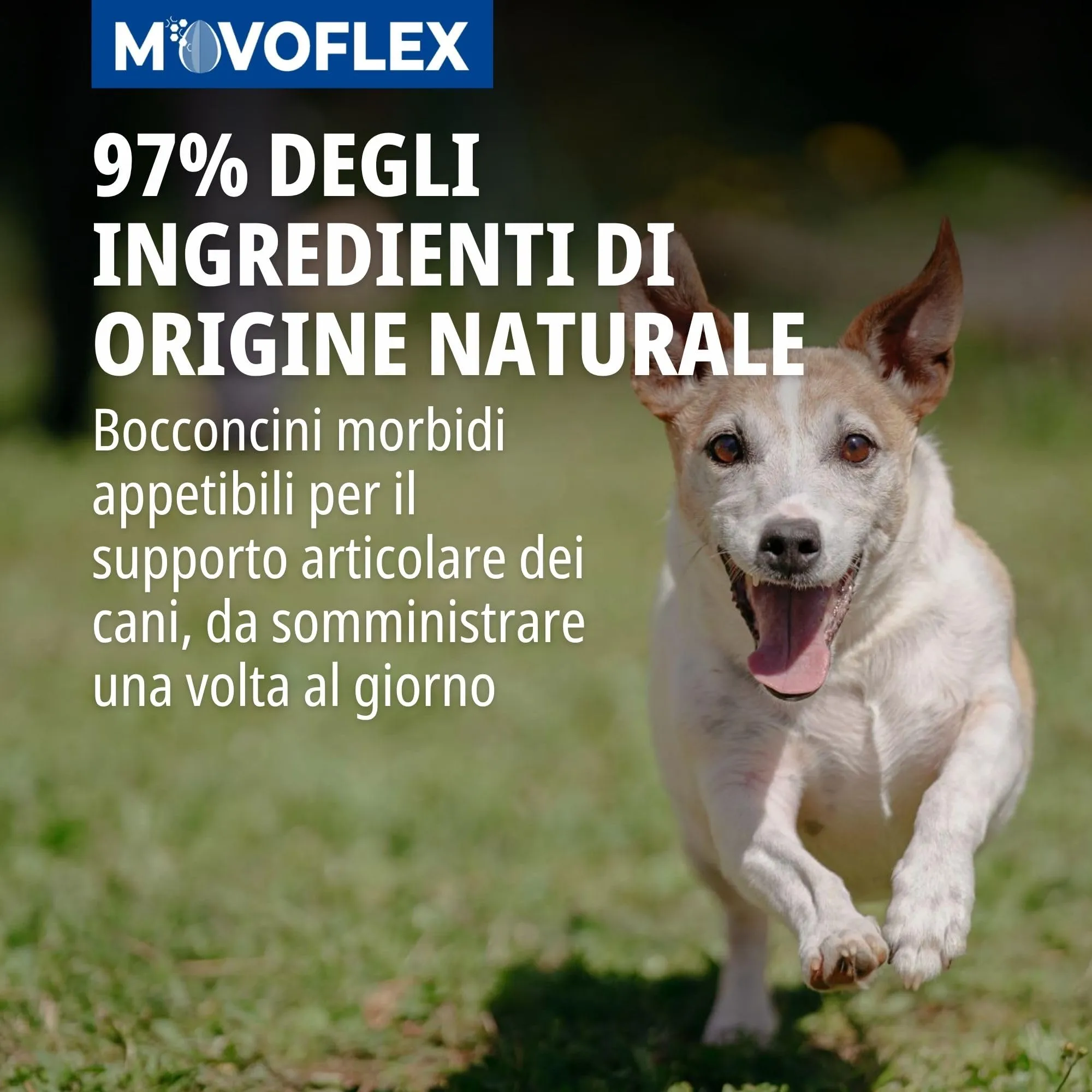 Virbac Movoflex Soft Chews Supporto Articolare per Cani - immagine 5