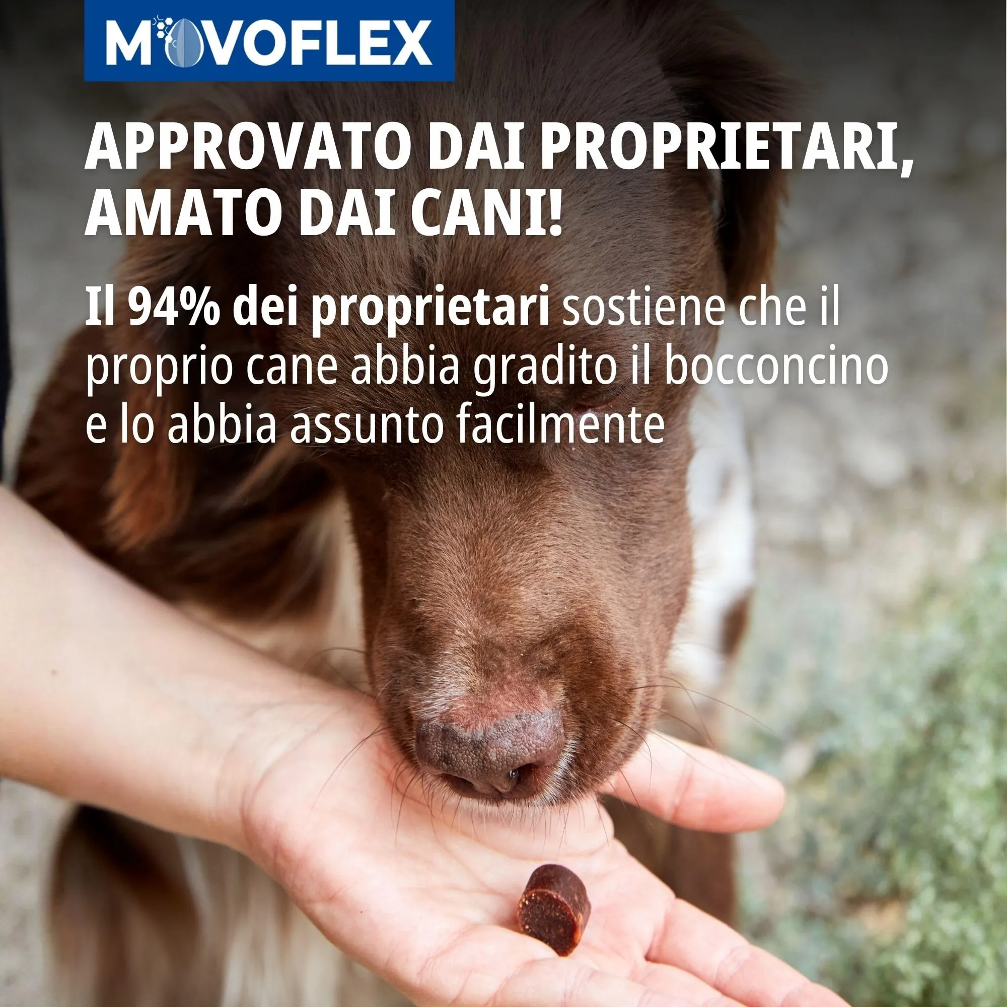 Virbac Movoflex Soft Chews Supporto Articolare per Cani - immagine 6