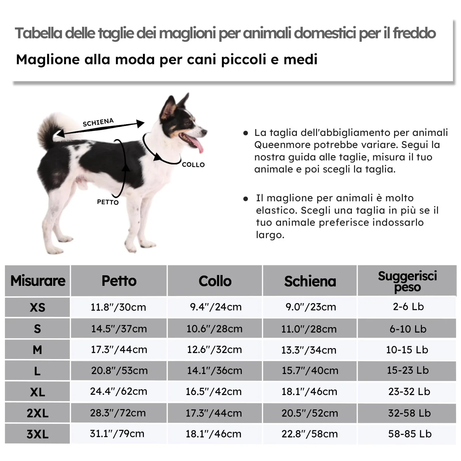 Queenmore Maglione a Trecce per Cani di Piccola Taglia - immagine 4