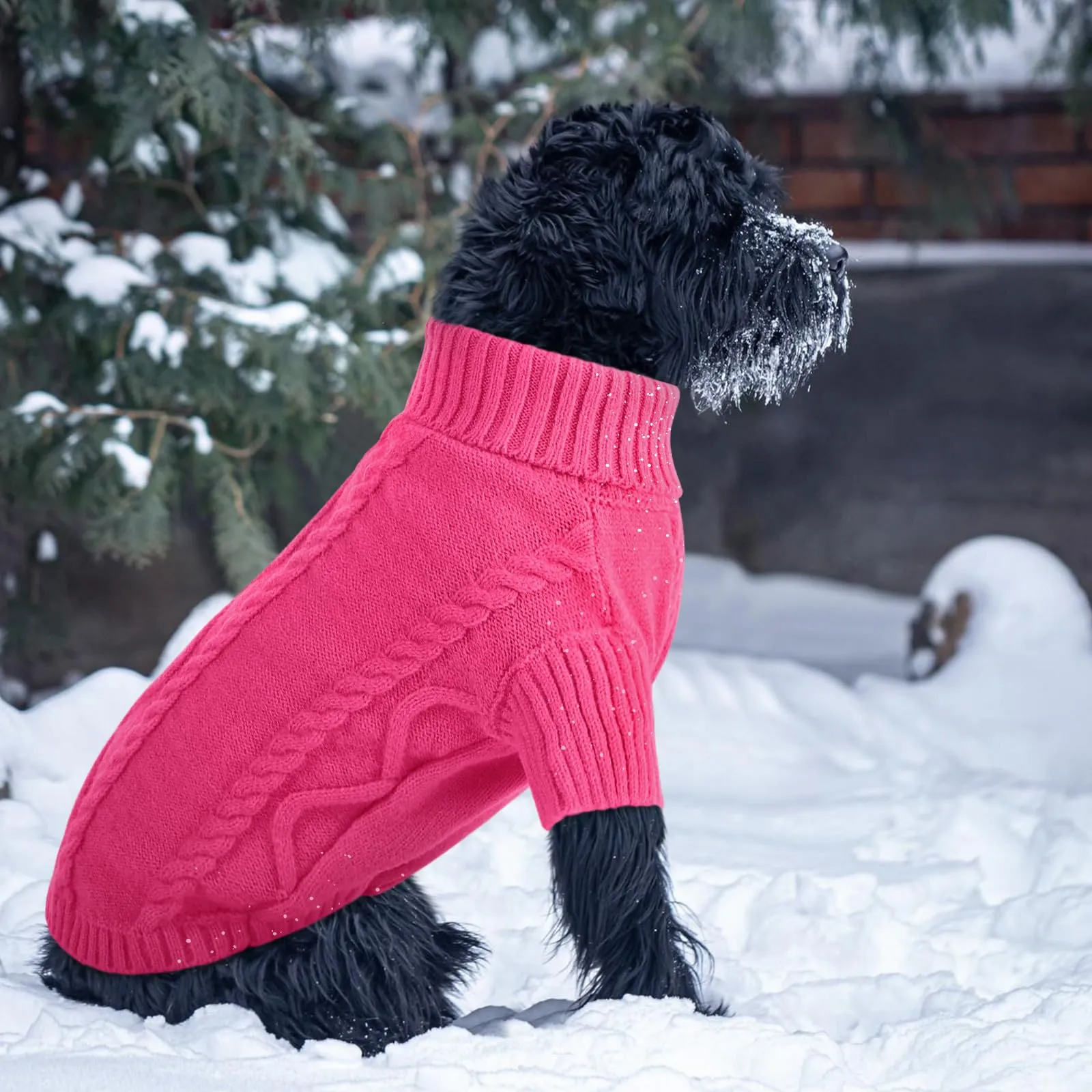 Queenmore Maglione per Cani a Treccia con Collo Alto, Caldo ed Elastico - immagine 6