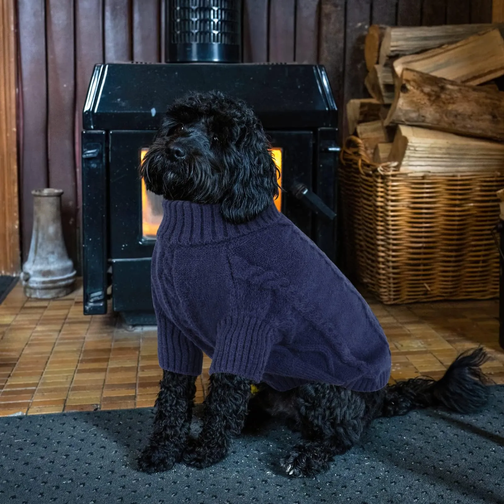 Queenmore Maglioncino per Cane, Taglia XS - immagine 7